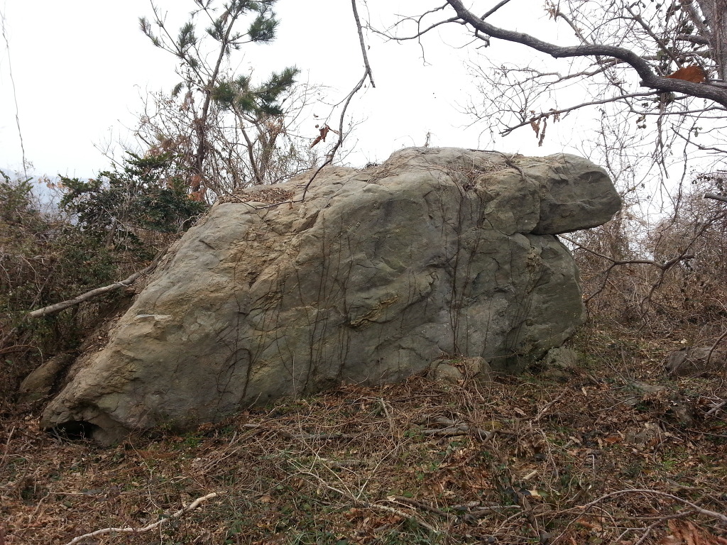 맴재 등산로에서 발견한 보물들 첨부#2