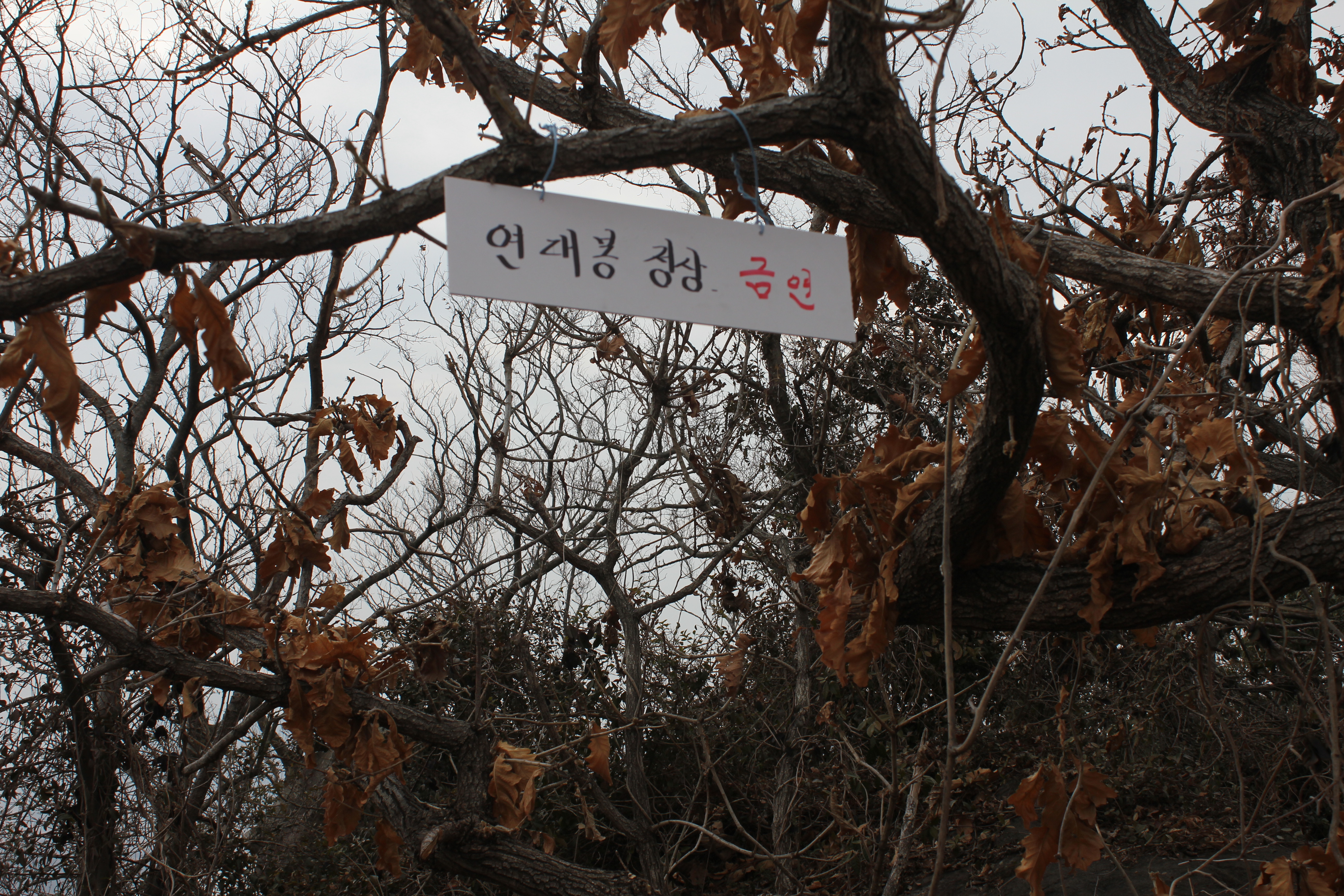 산월   맴재등산로에서 첨부#2