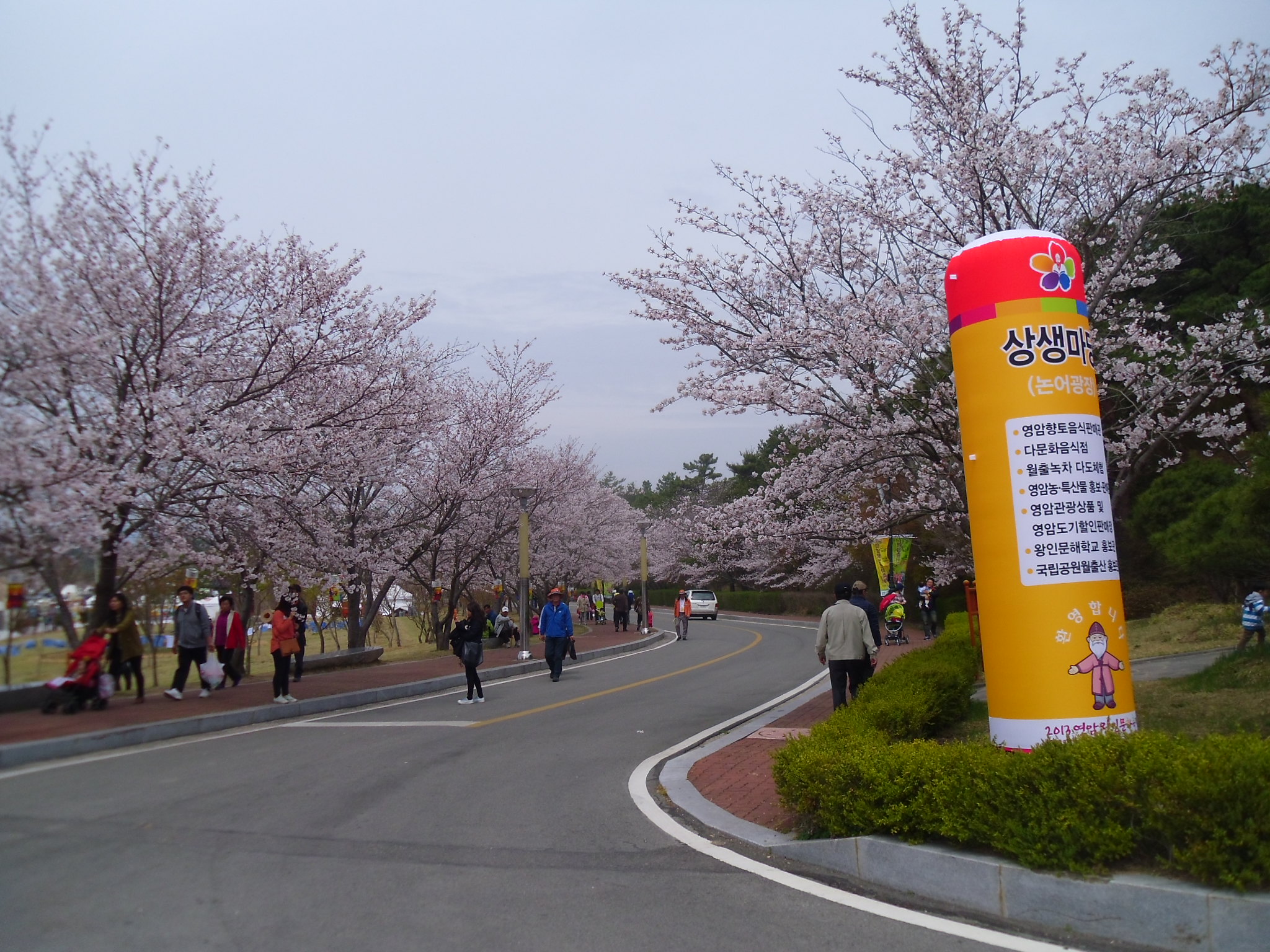 벚꽃 가로수는 이렇게. 이미지