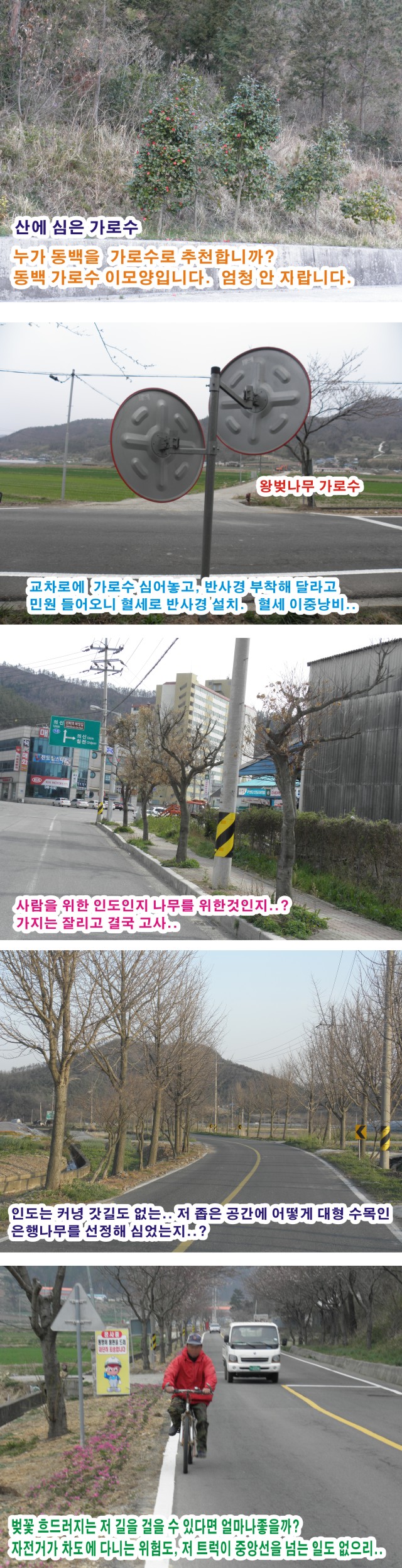 진도읍 새도로 / 방치된 도로 첨부#3