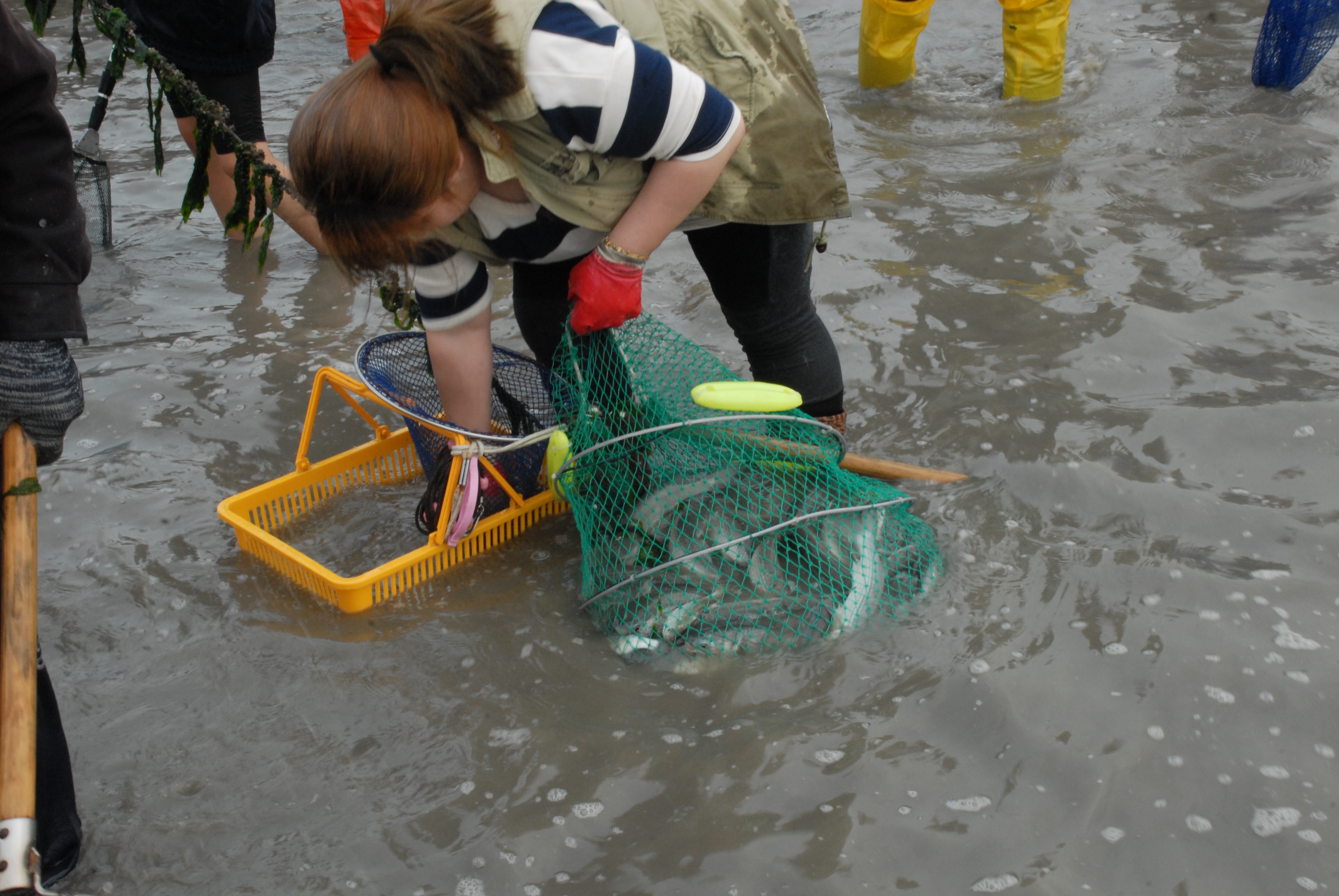 죽림 개막이 체험 첨부#7