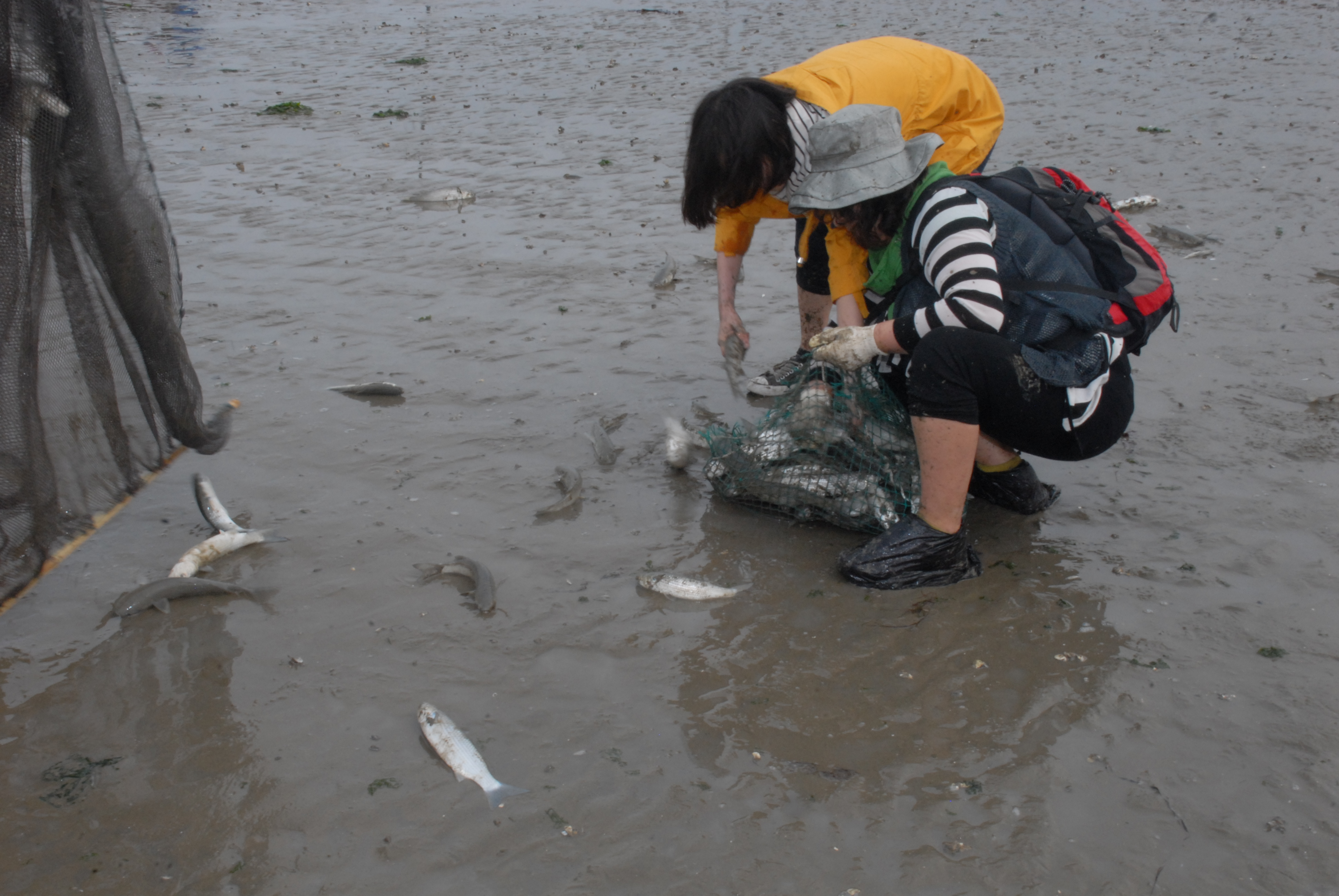 죽림 개막이 체험 첨부#10