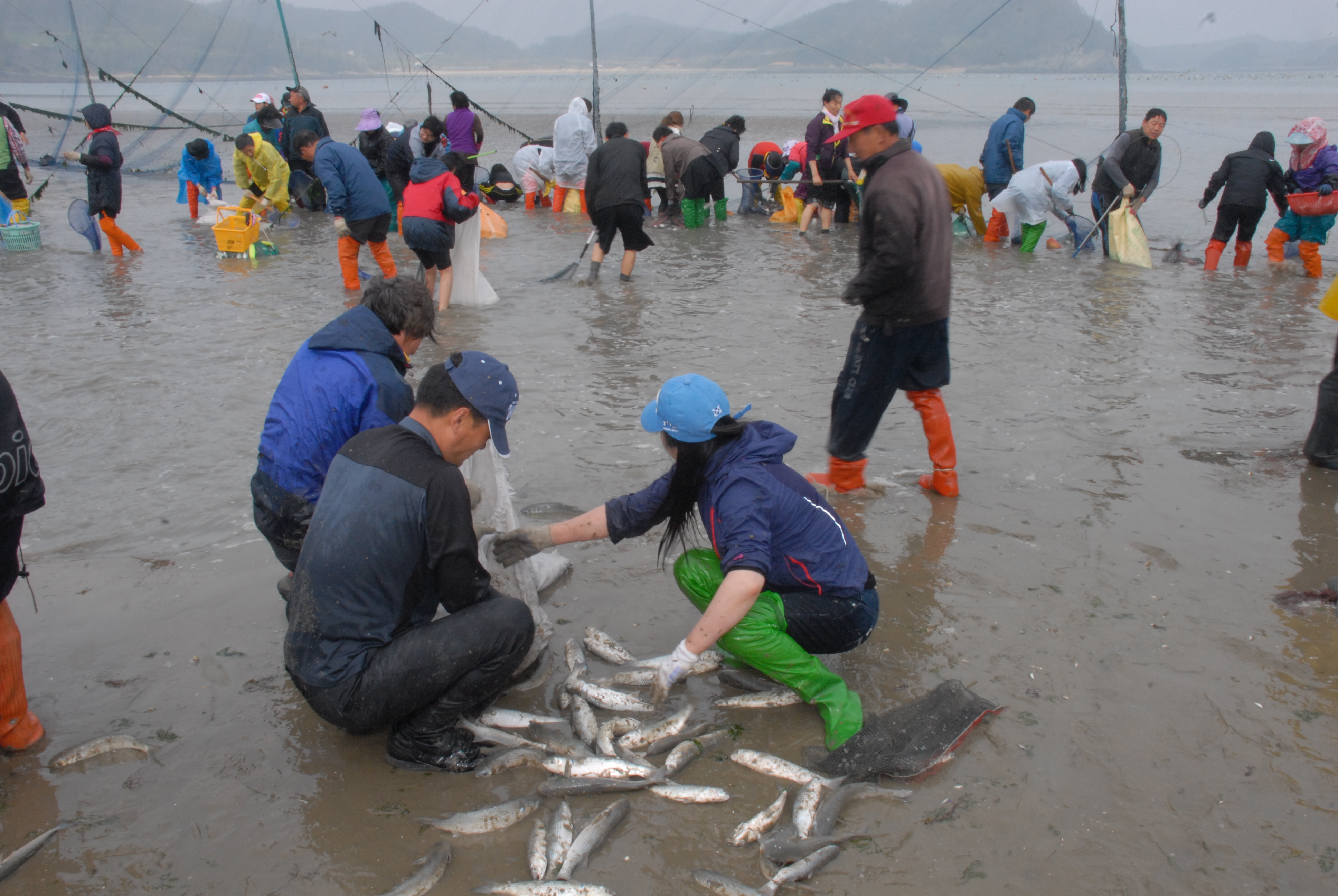 죽림 개막이 체험 첨부#11
