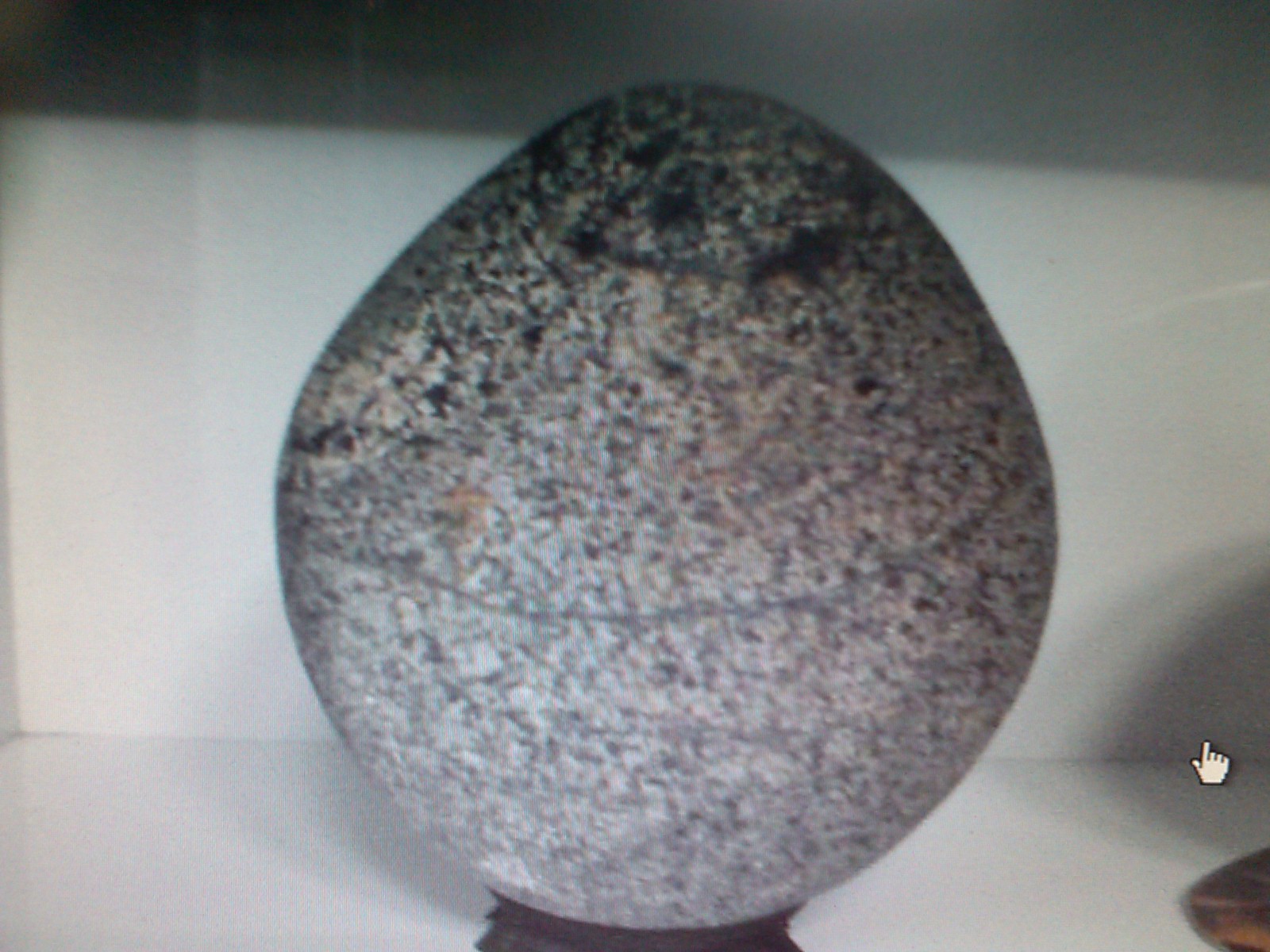 완도 비자리석 이미지