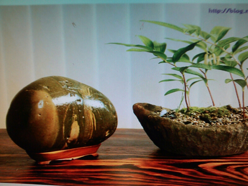 진도굴포석 이미지