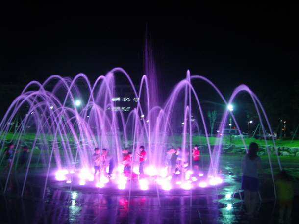 진도군의 오늘 이미지