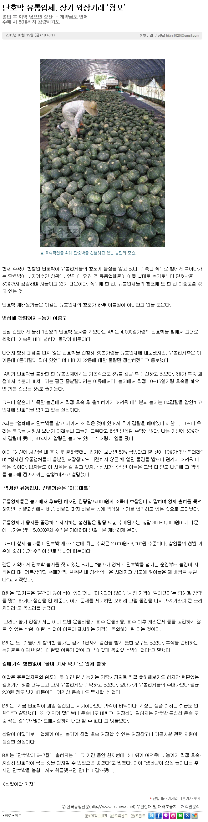 진도 단호박 이미지