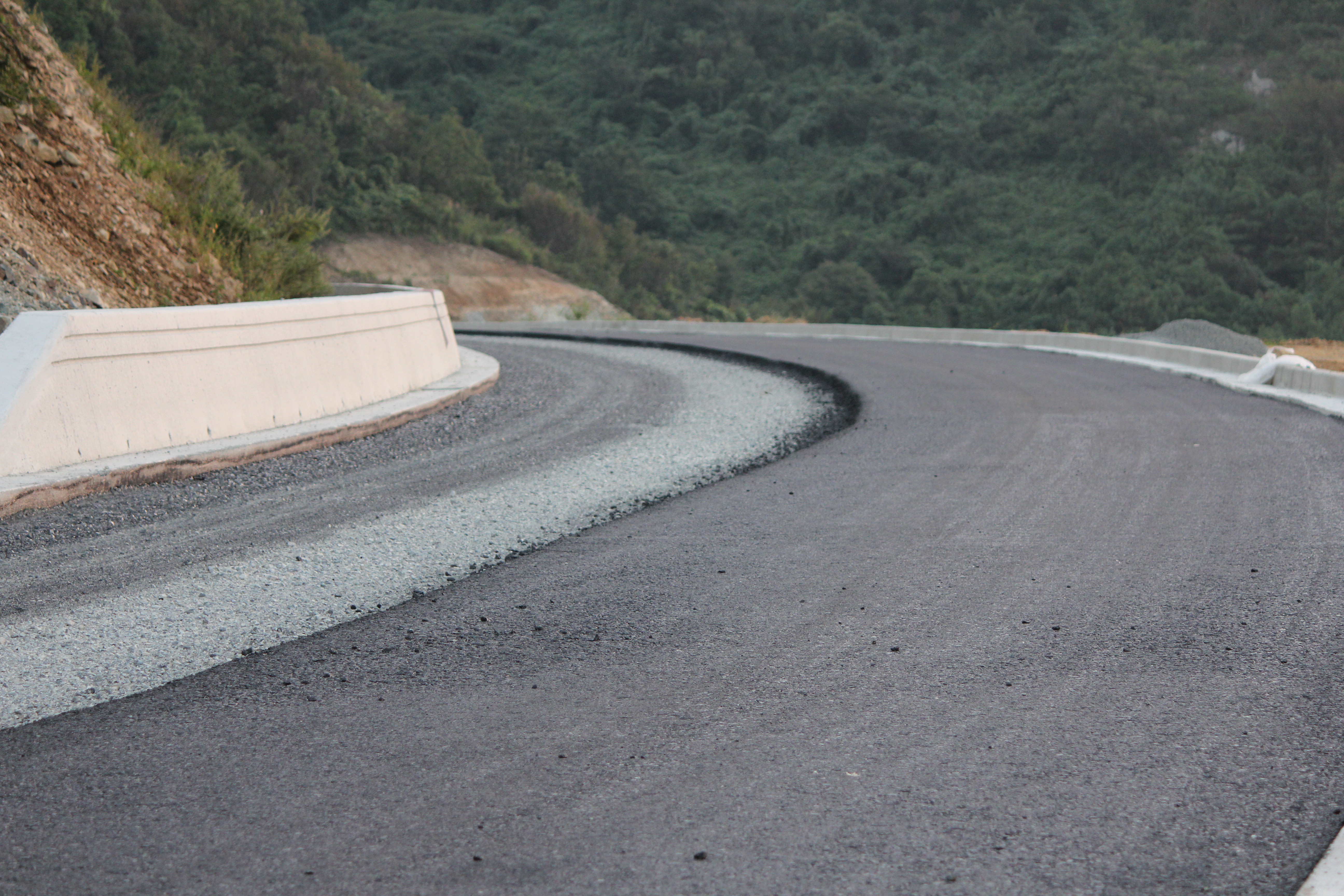 진도 군민이면 관심을 이미지