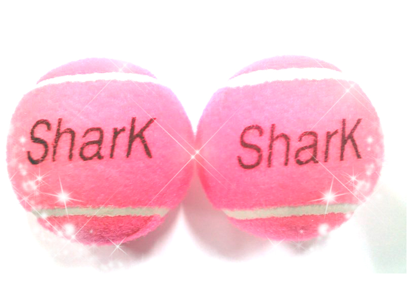 ----- 신상품 ----- 이미지