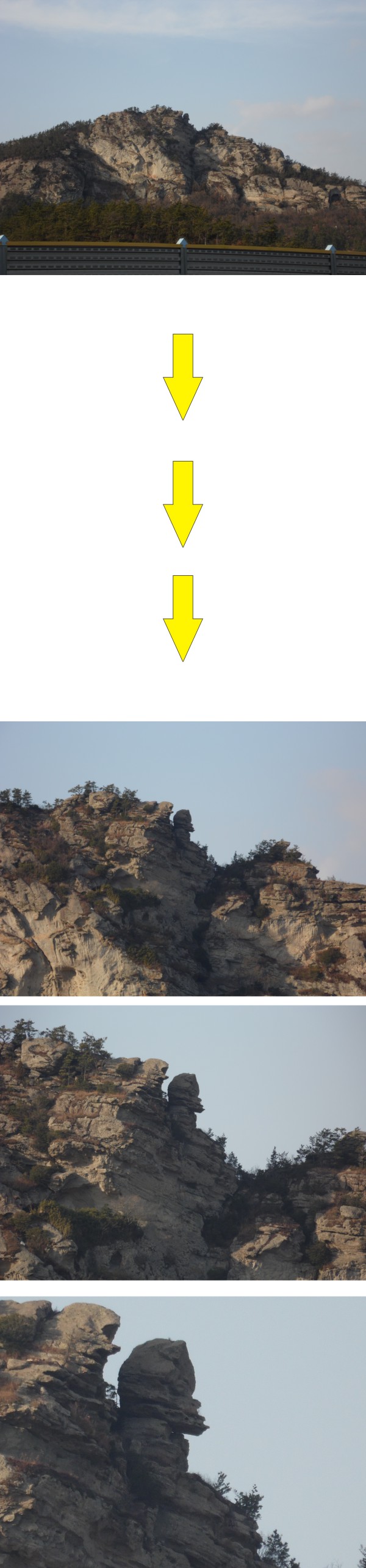 금골산 고릴라 이미지