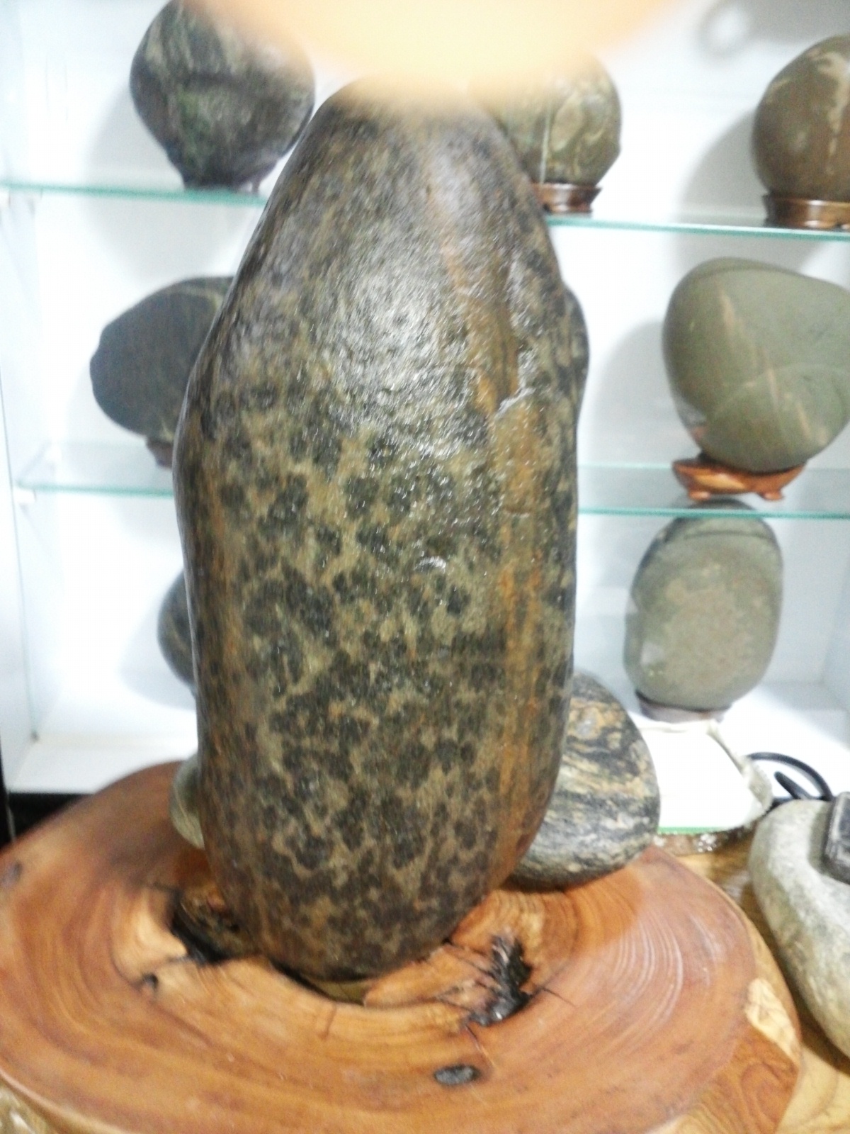 산지 영월 이미지