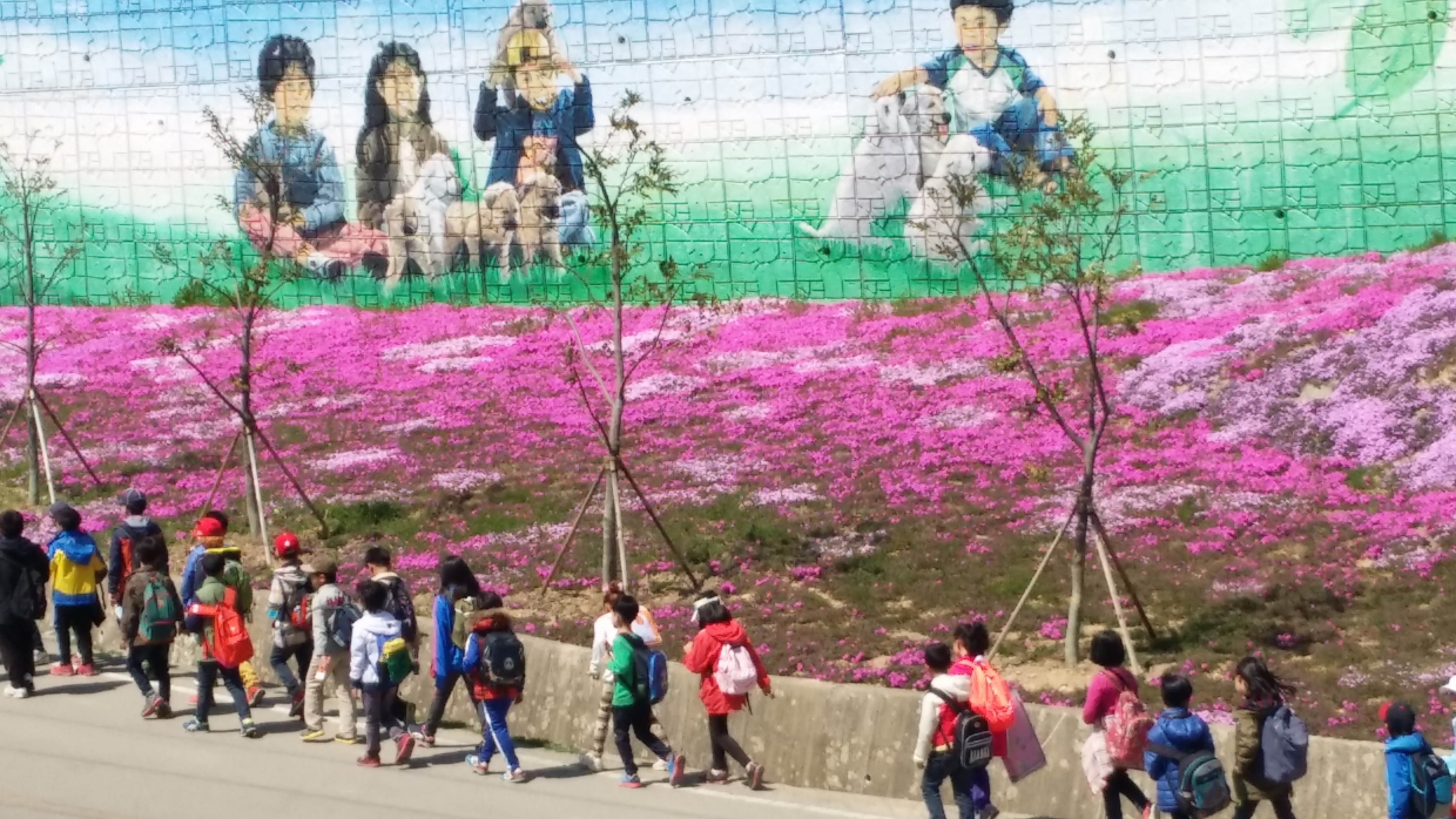 꽃잔디와 아이들 이미지