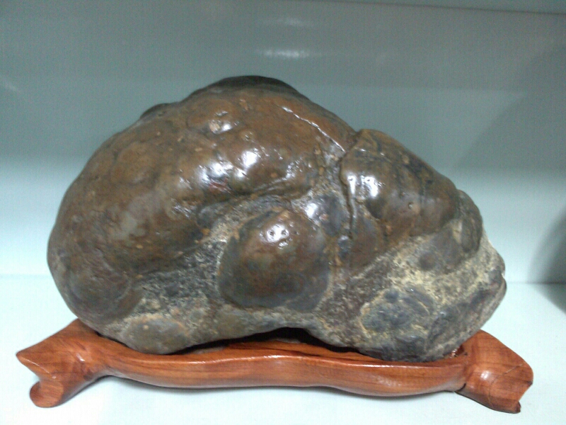 신기리혹돌 이미지