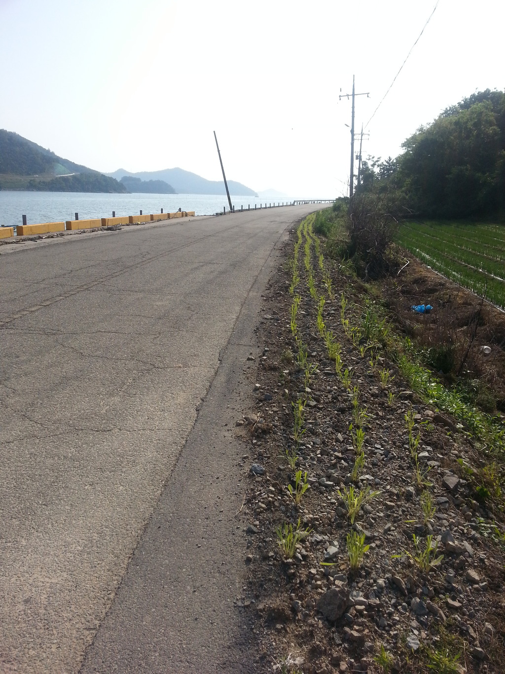 청용안 개매기 체험장 꽃길조성 이미지