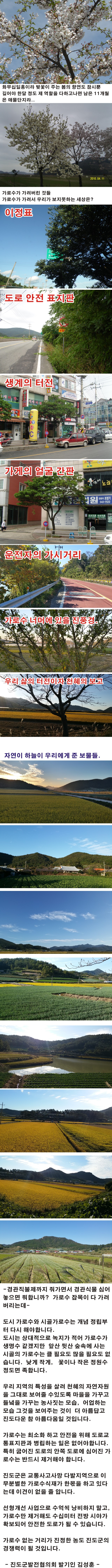 아름다운  진도군 농촌 풍경이  경쟁력입니다. 이미지