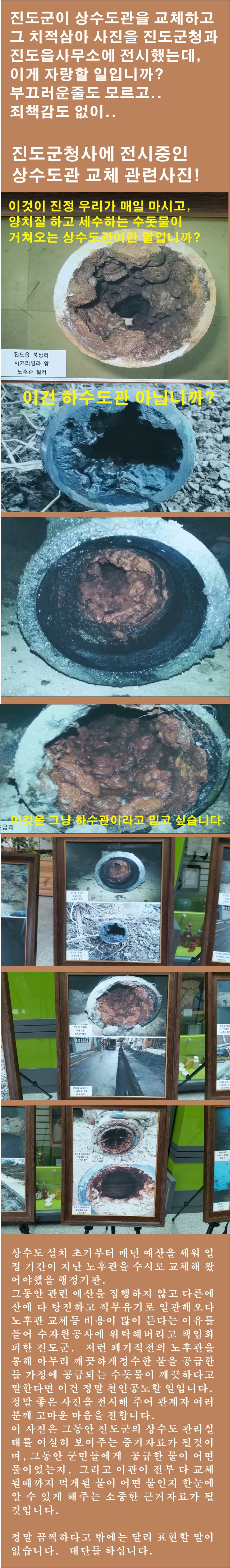 사랑하는 진도군 이미지