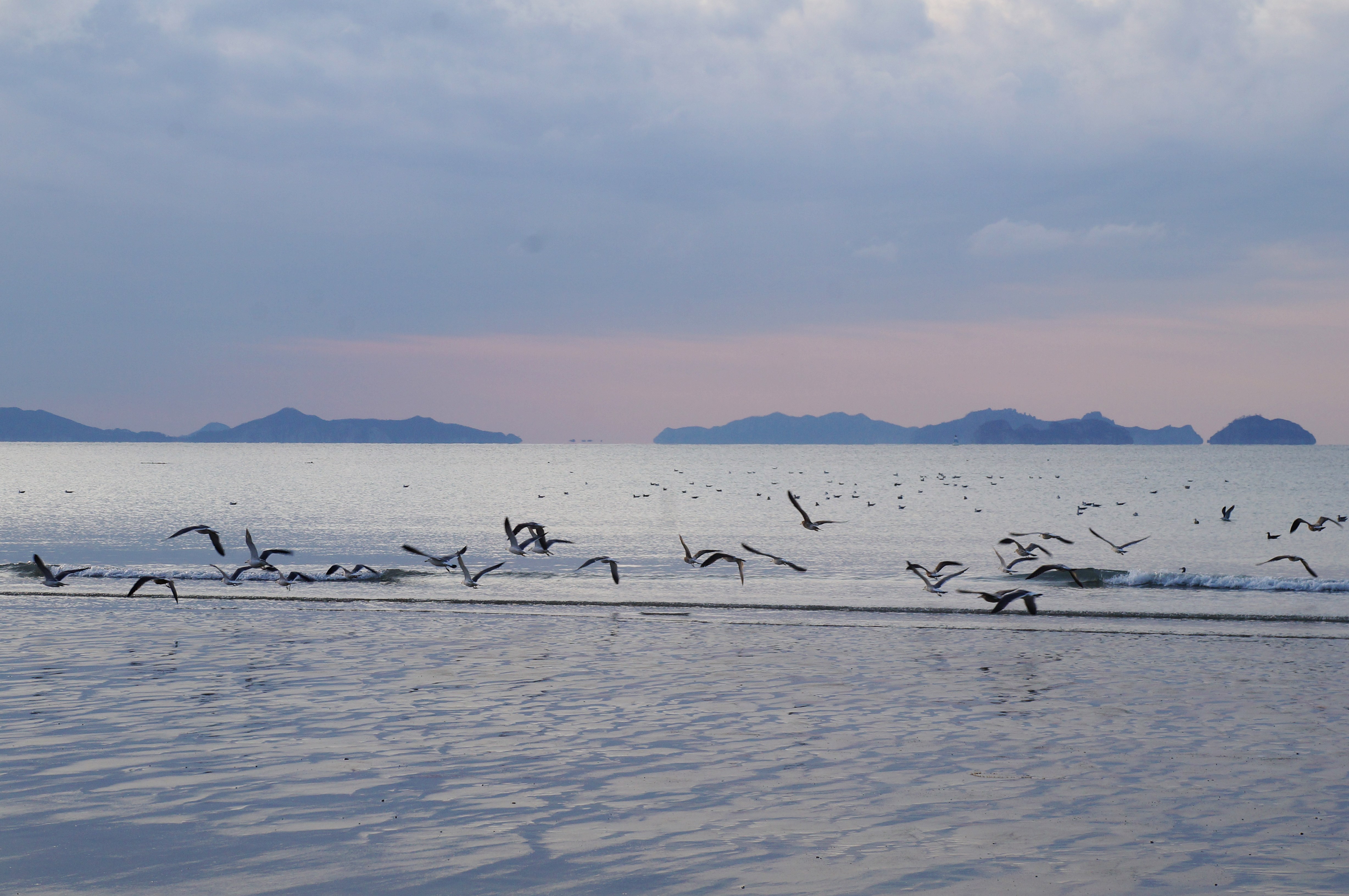 아름다운 진도 서망해변 첨부#2