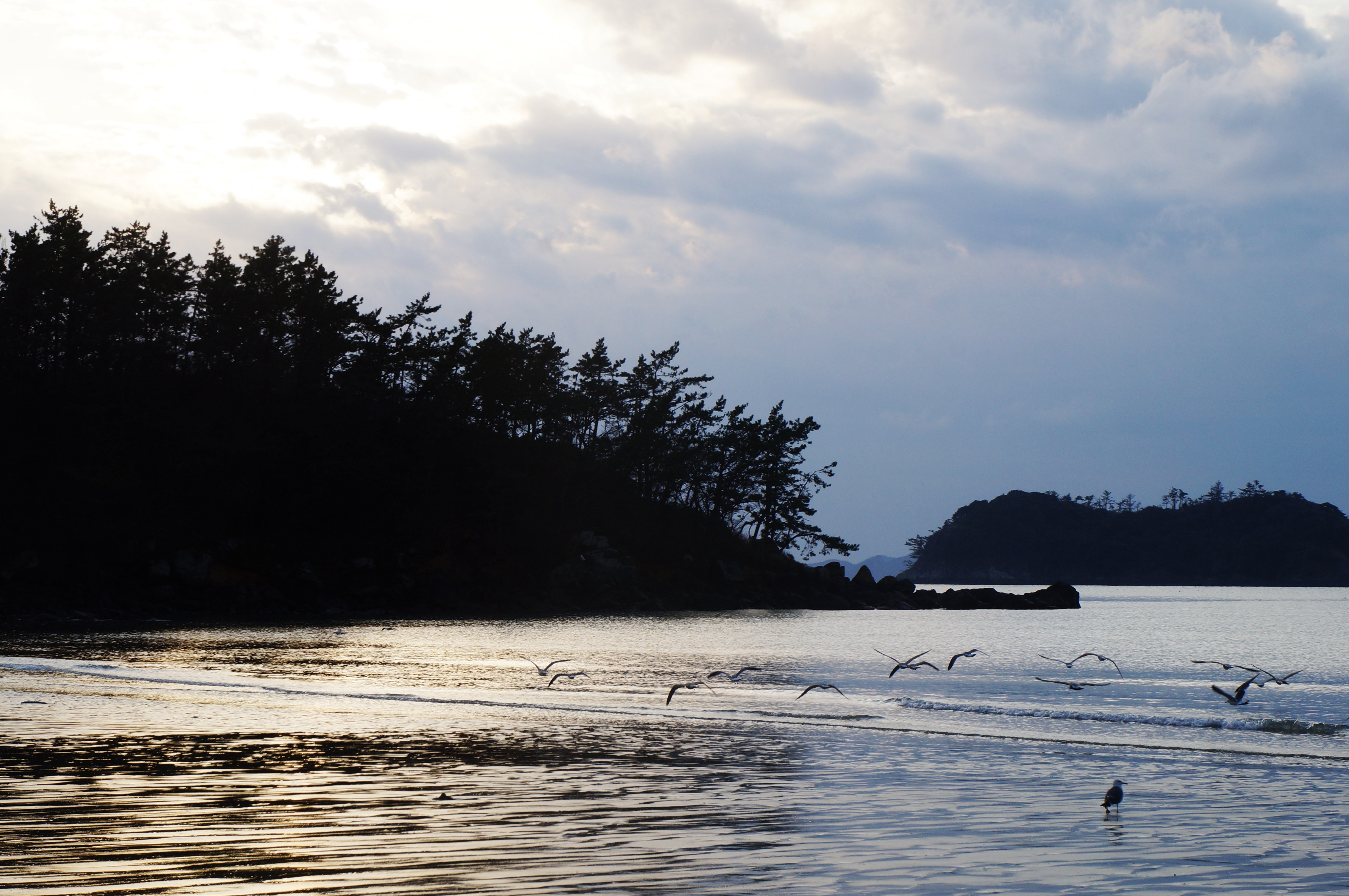 아름다운 진도 서망해변 첨부#3