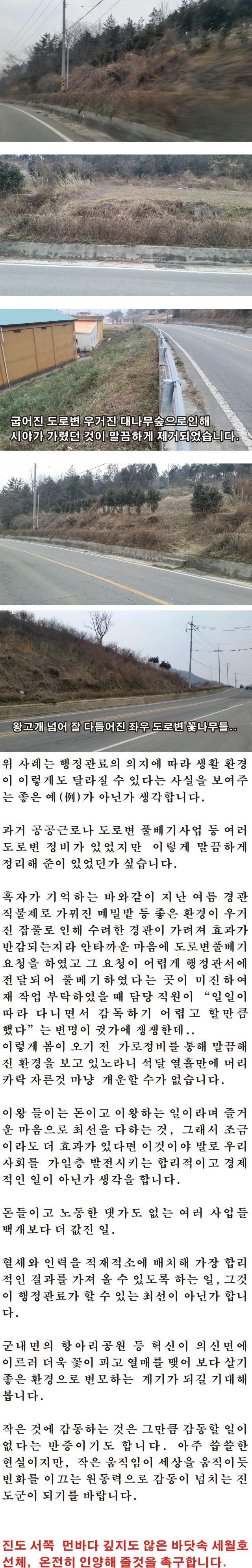 진도 가로변 이미지