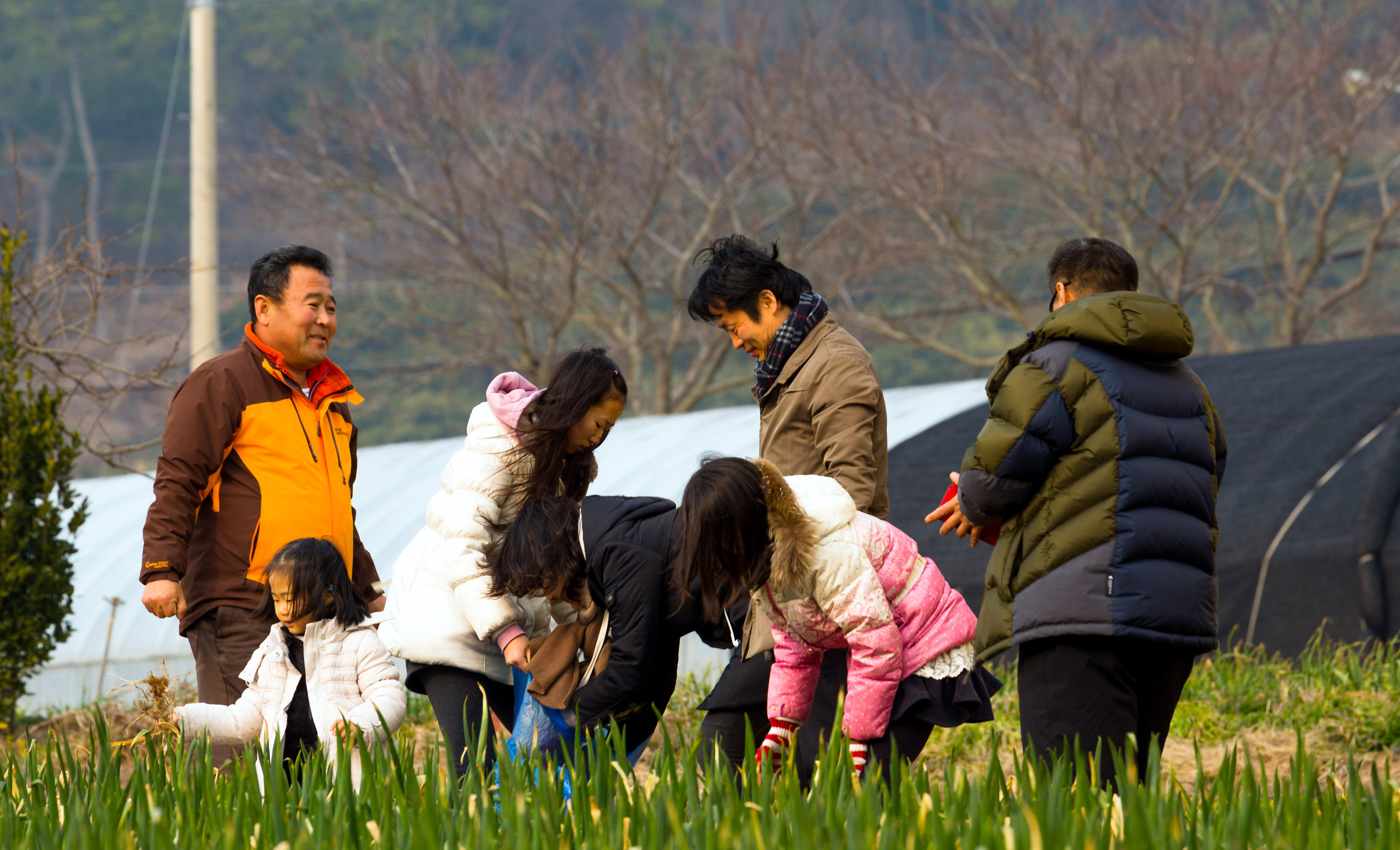 제1회 진도달빛노을 농촌체험관광 첨부#3