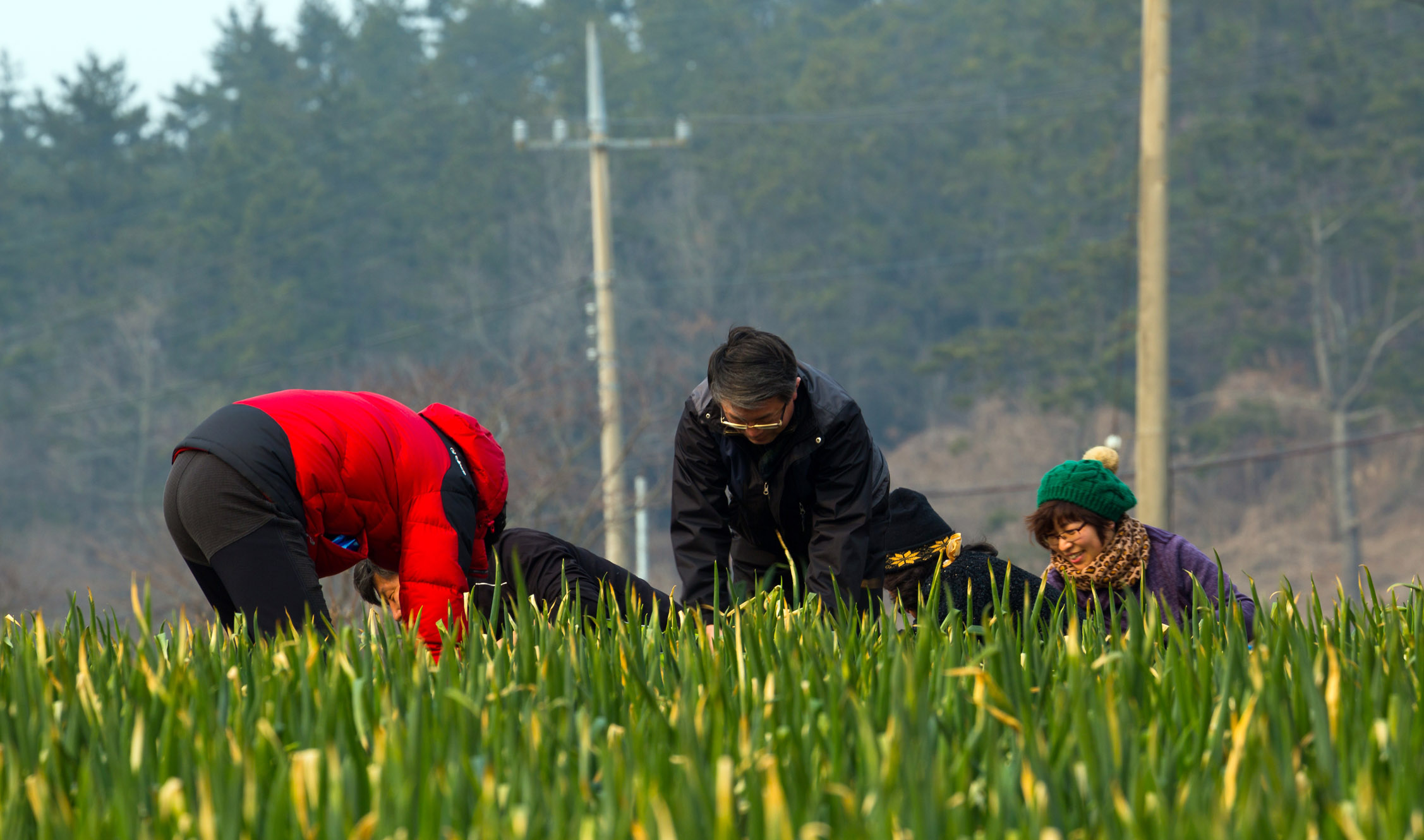 제1회 진도달빛노을 농촌체험관광 첨부#4