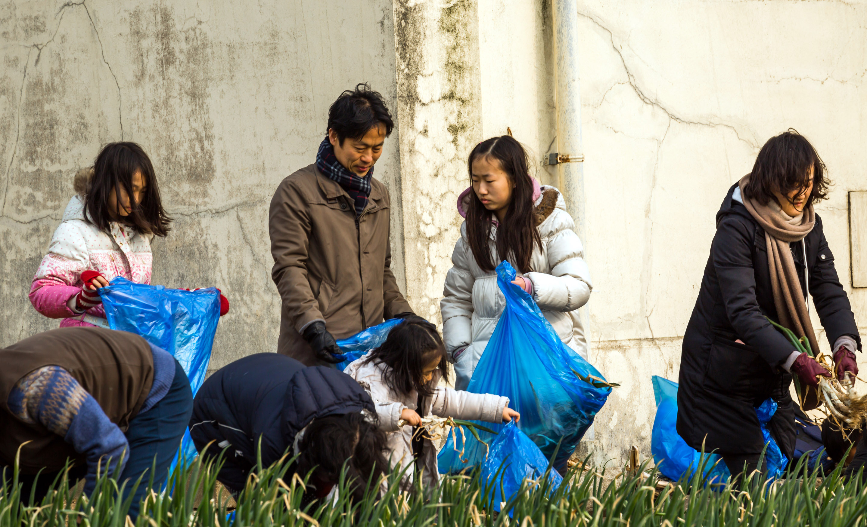 제1회 진도달빛노을 농촌체험관광 첨부#5