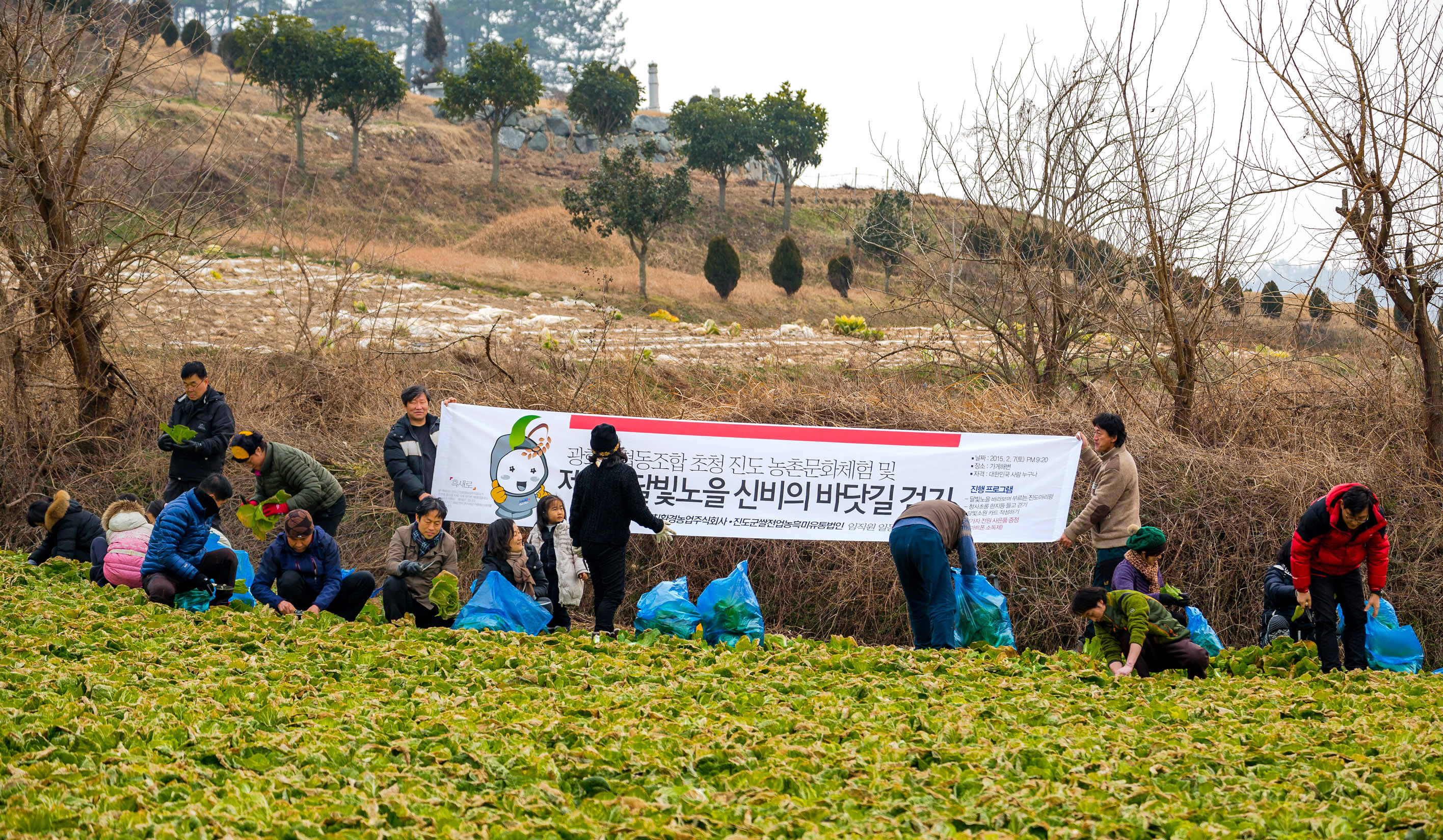 진도 달빛노을 가슴에 가득 첨부#4