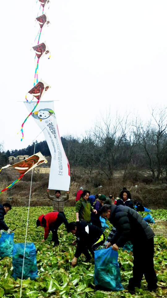 진도하늘 자유로운 영혼이 날다 이미지