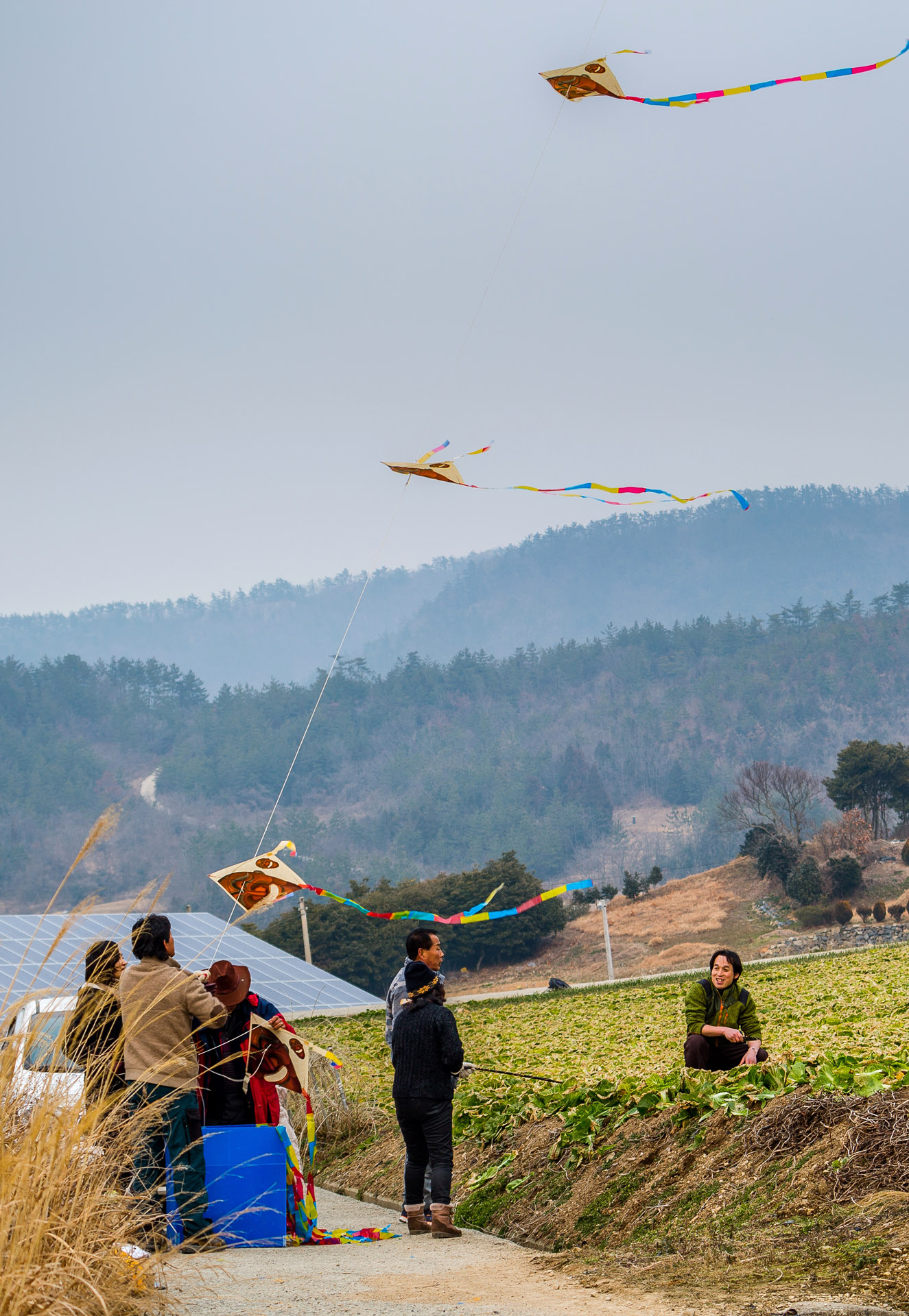 진도하늘 자유로운 영혼이 날다 첨부#4
