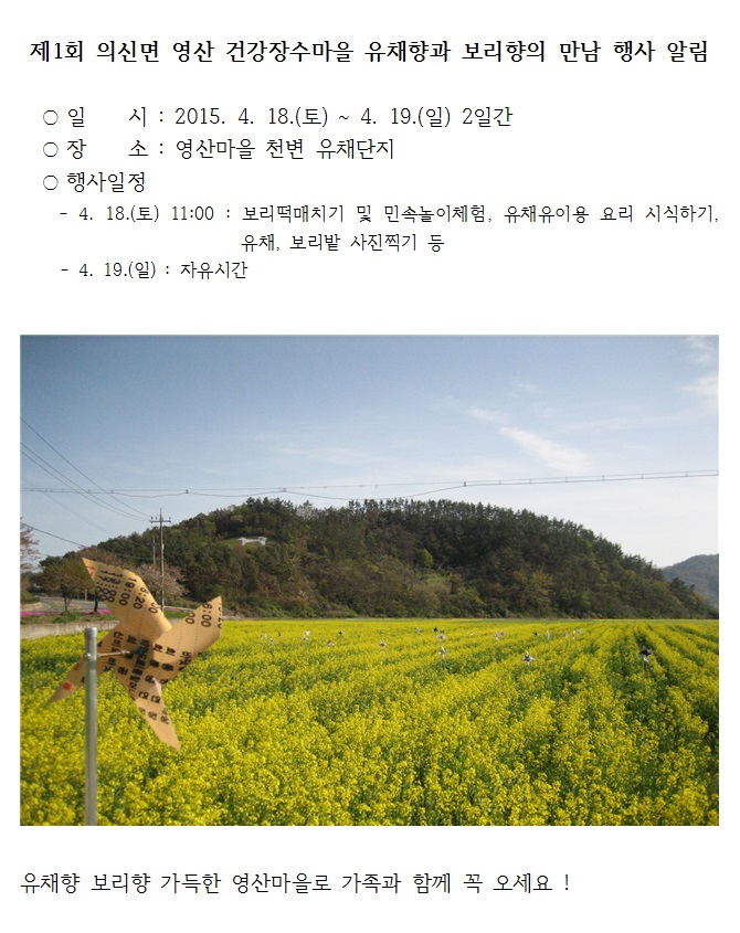 의신면 영산마을 유채단지 일원 바람개비 사진 이미지