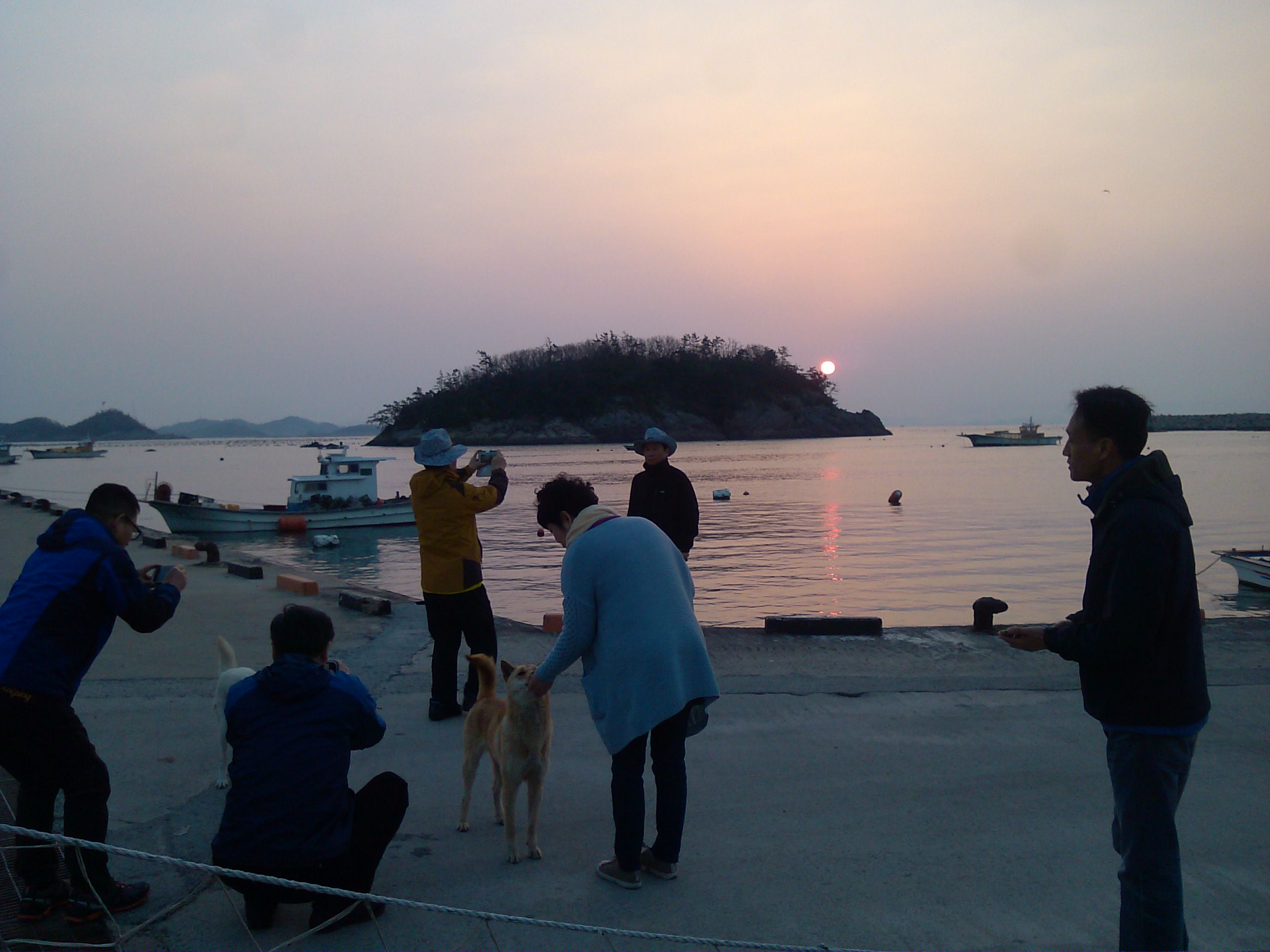 서울 사람들의 진도 여행/수품항 일풀 이미지