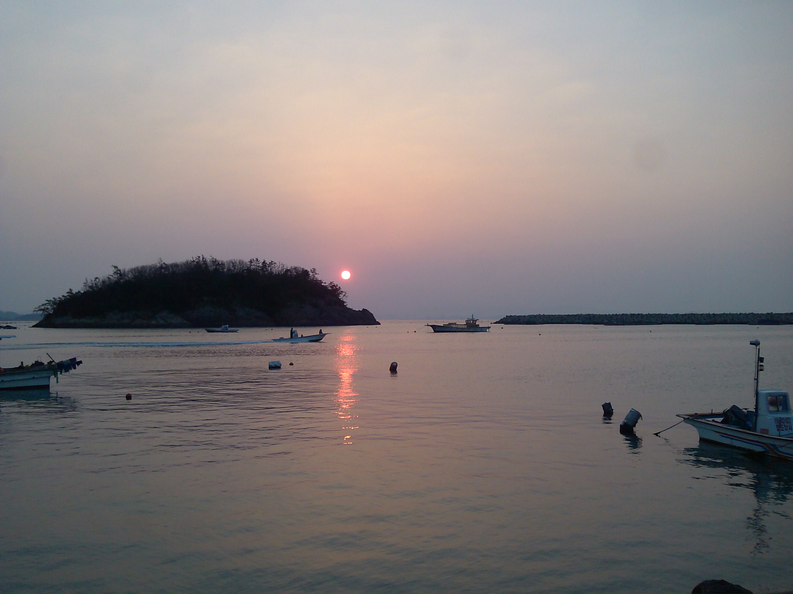 서울 사람들의 진도 여행/수품항 일풀 첨부#2