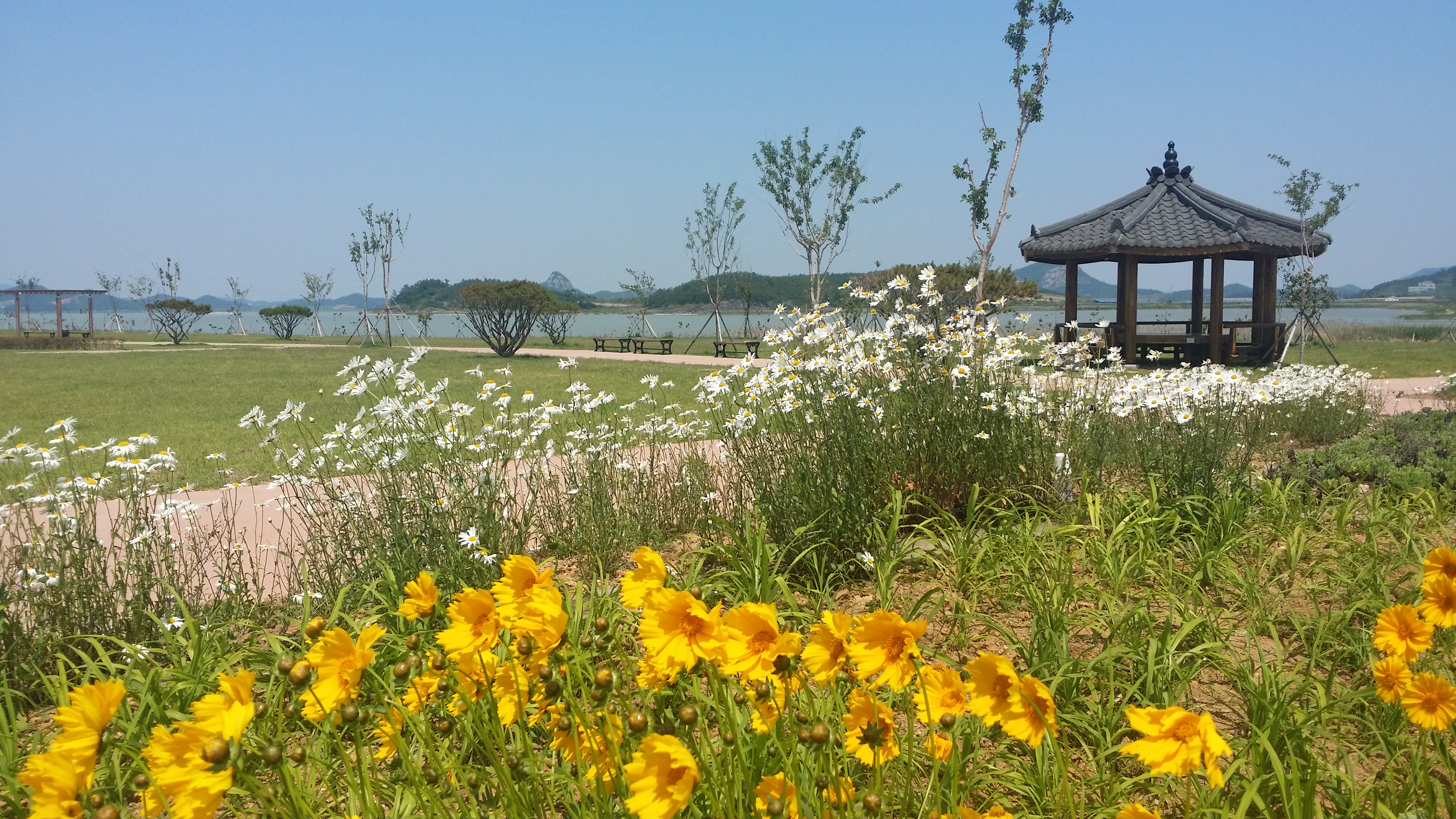 전두 고니도래지 생태공원 이미지