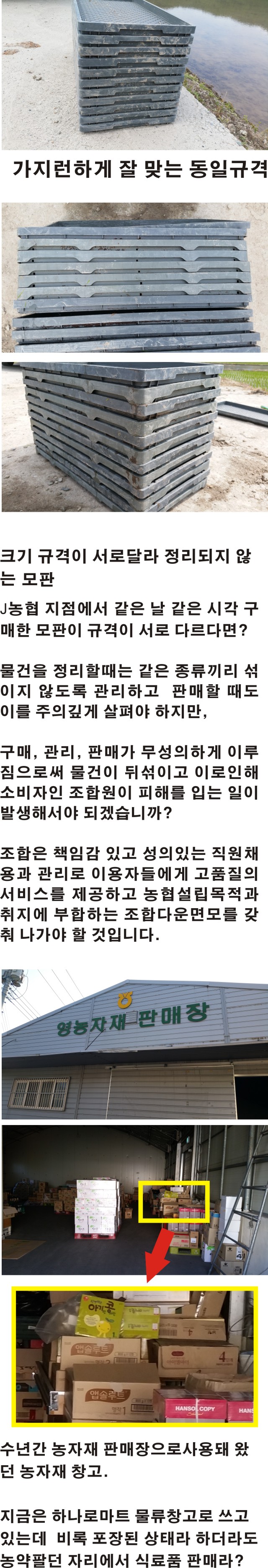 자유 평등  평화 이미지