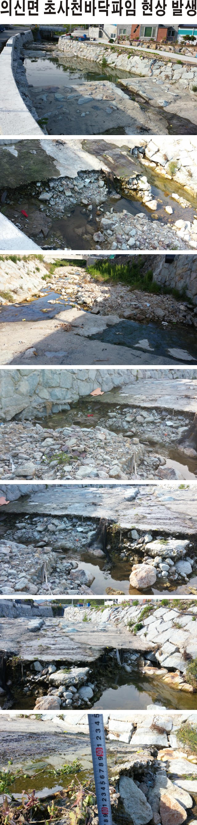 자유 평등  평화 첨부#2