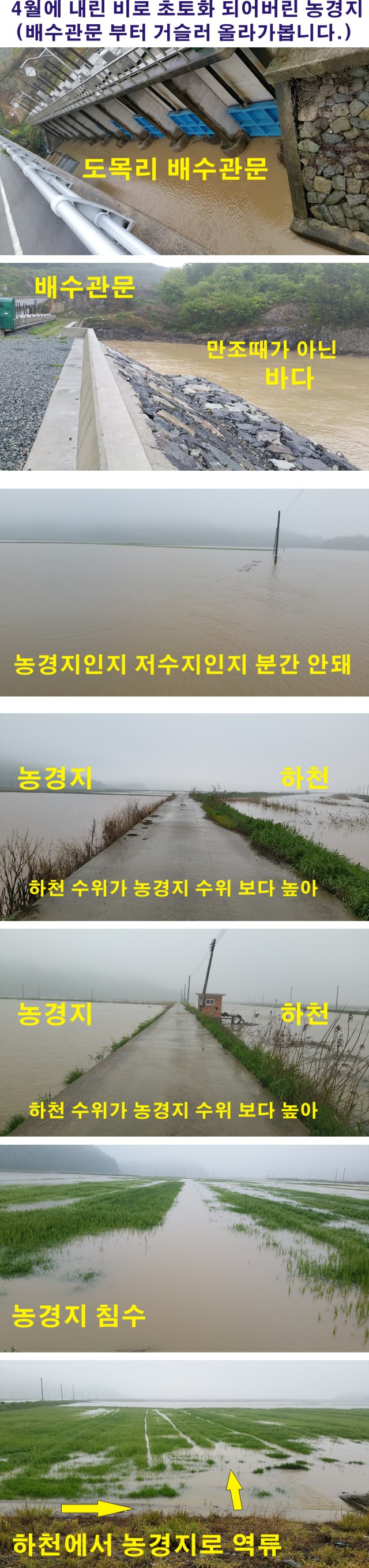 자유 평등  평화 첨부#4