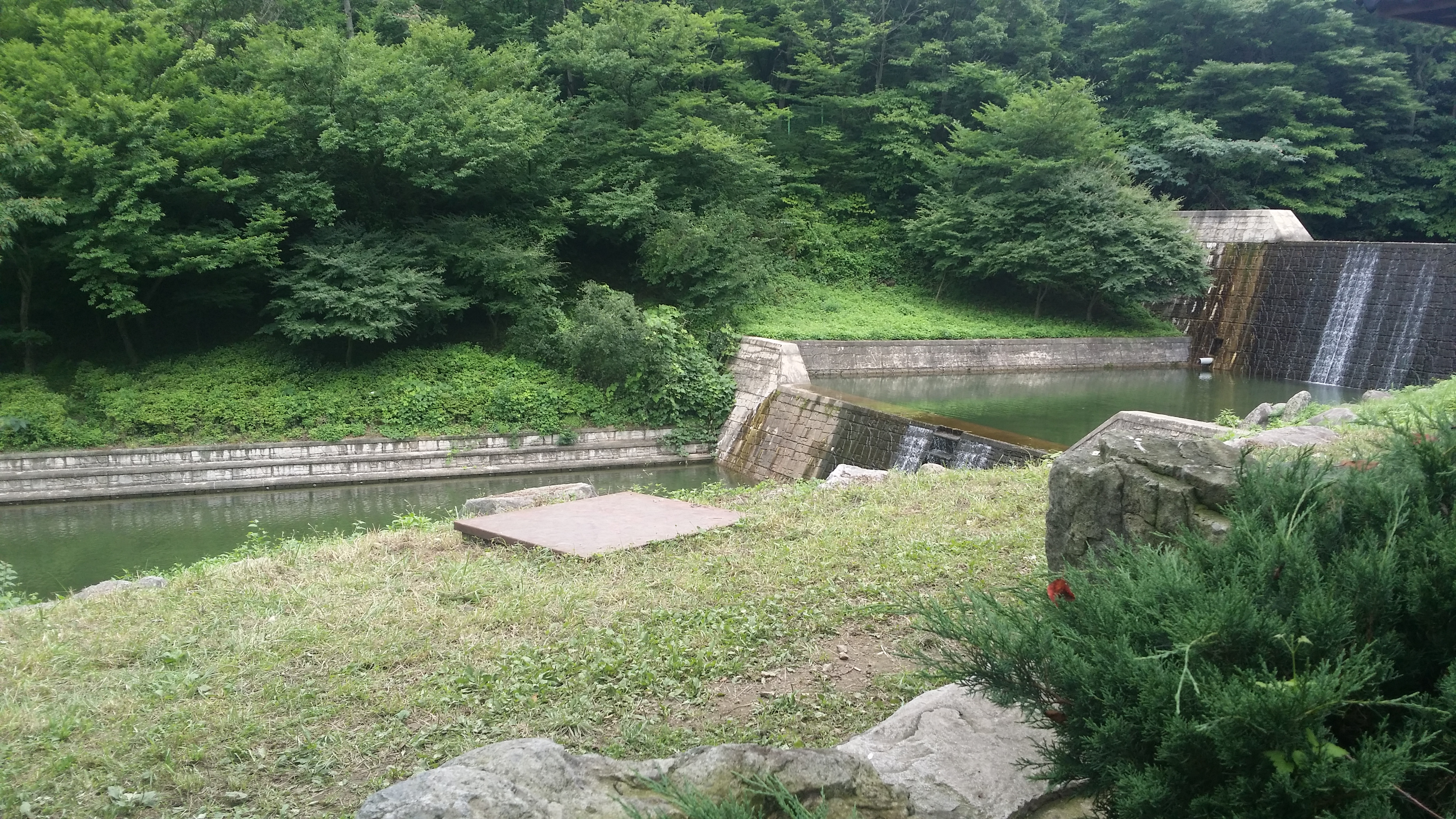 숲속의 피서(고성 사방댐) 이미지