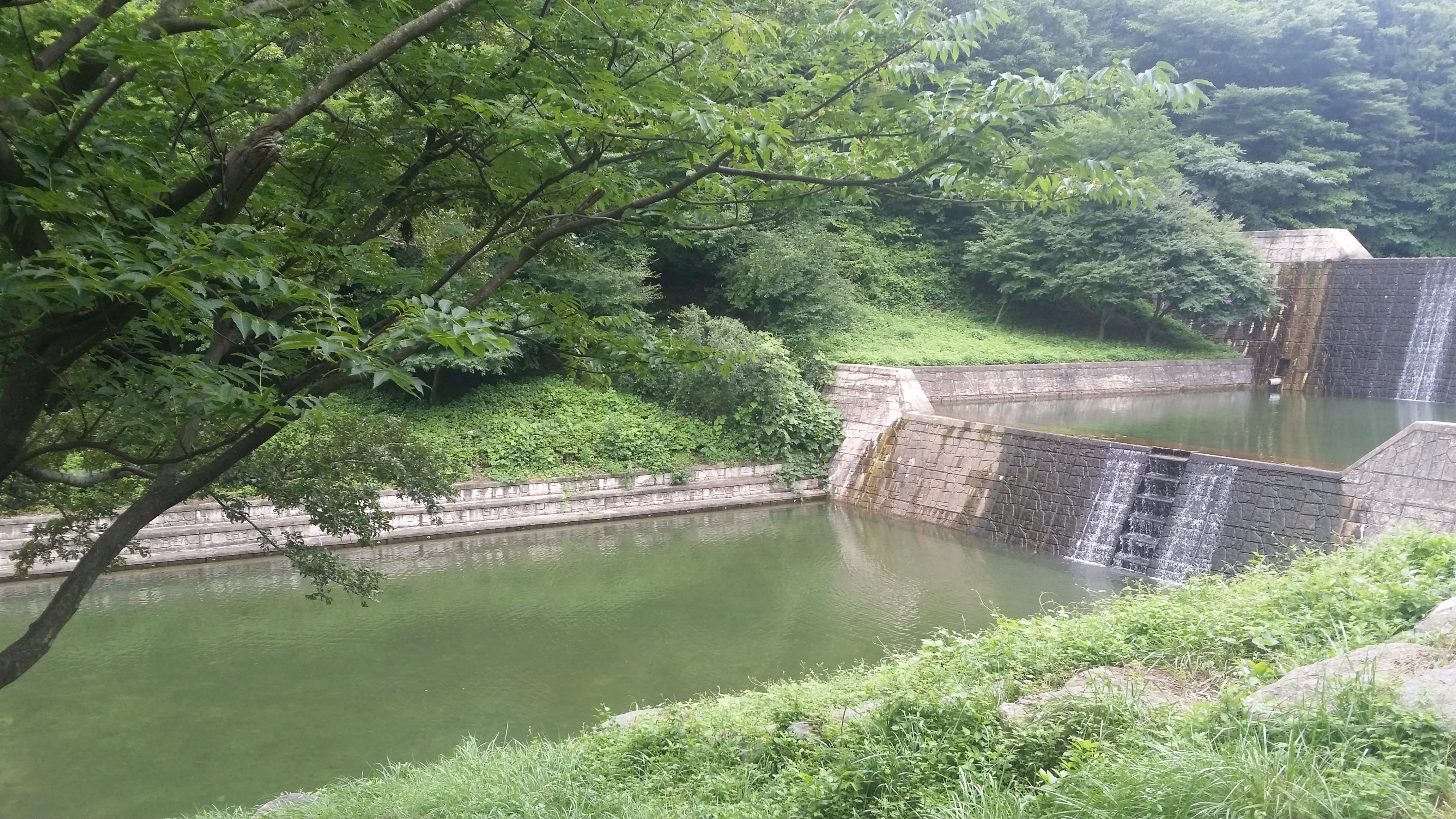 숲속의 피서(고성 사방댐) 첨부#2