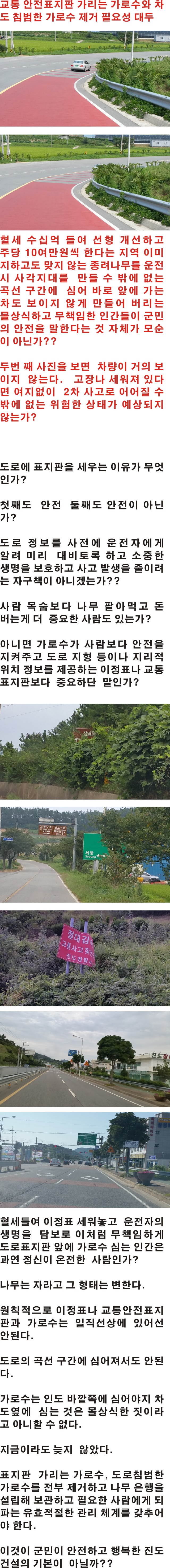 가로수 풍경 이미지