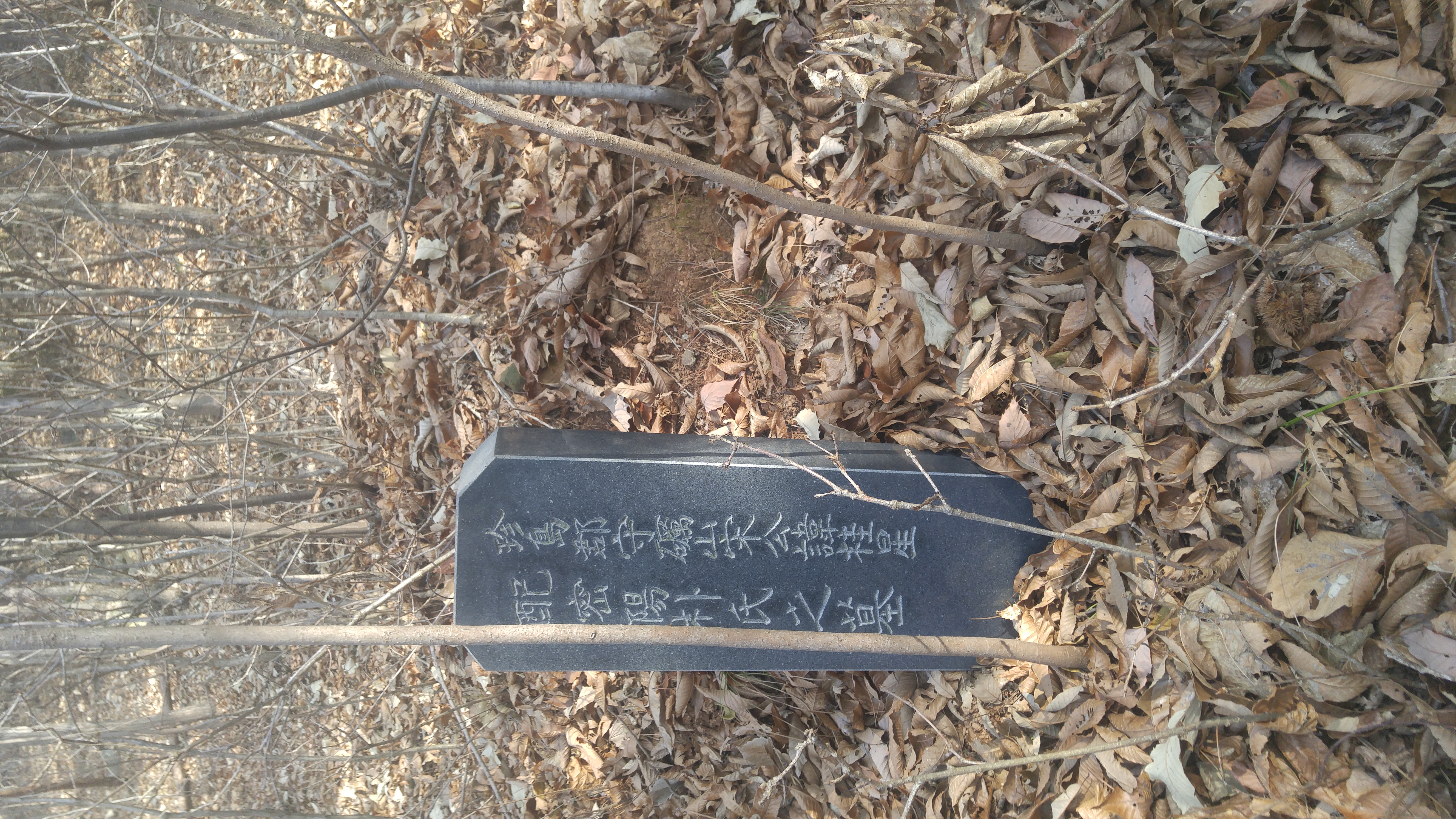 전임 진도군수를 지낸분의 묘 이미지