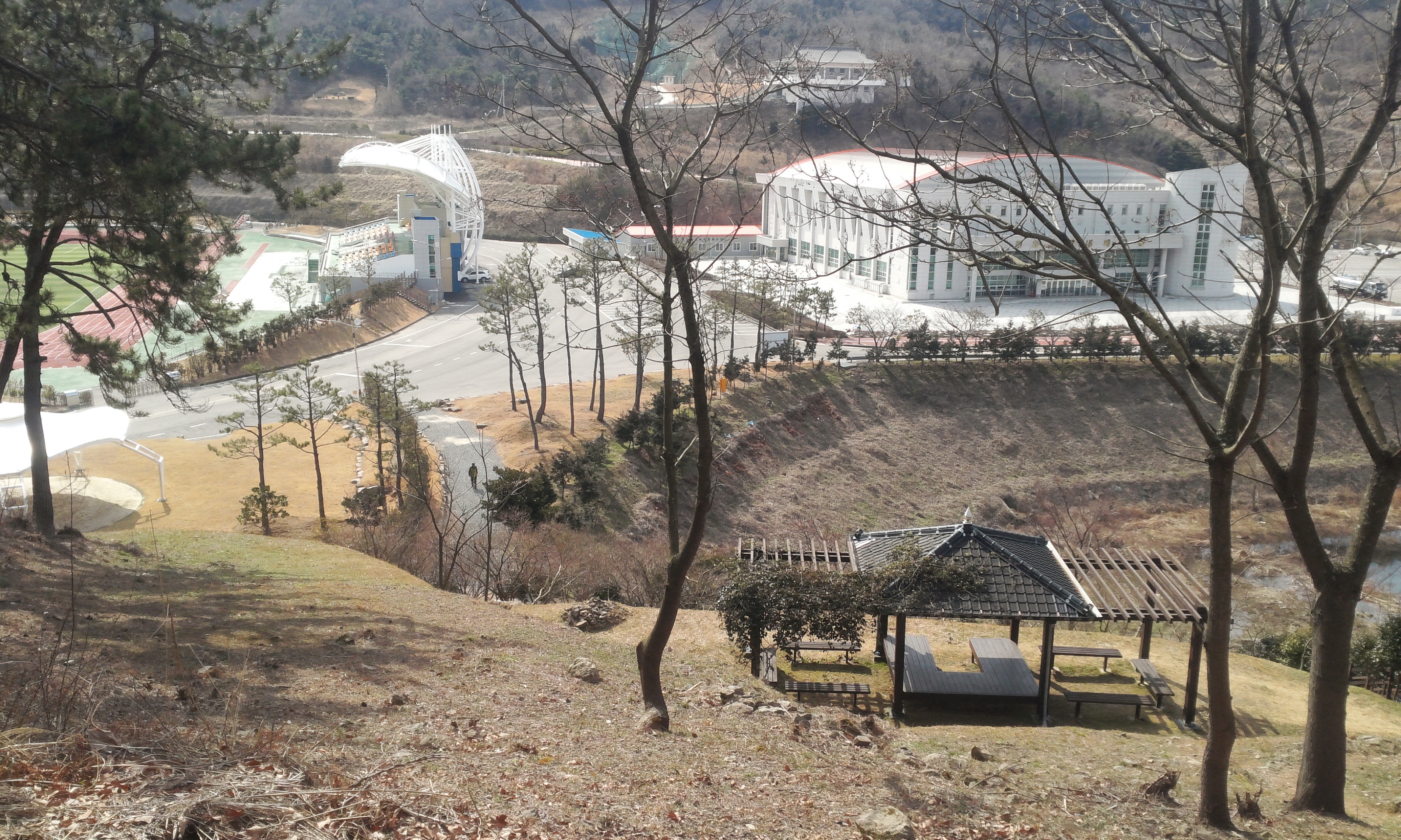 몸과 마음의 최적의 힐링로 "아리산" 이미지