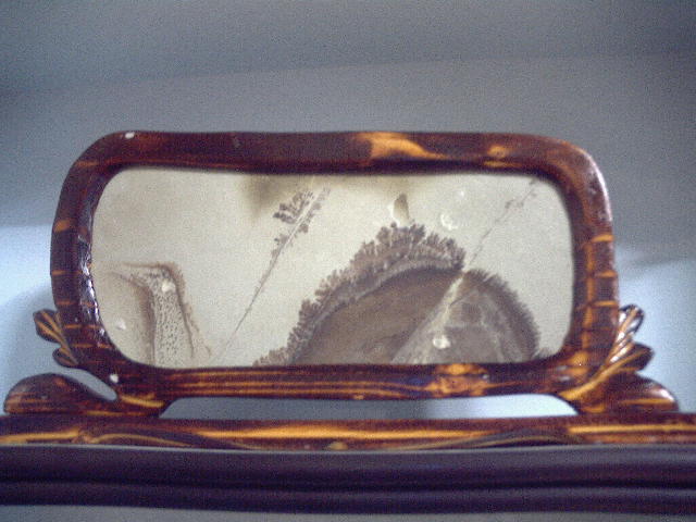 해남.양정리 수림석 이미지