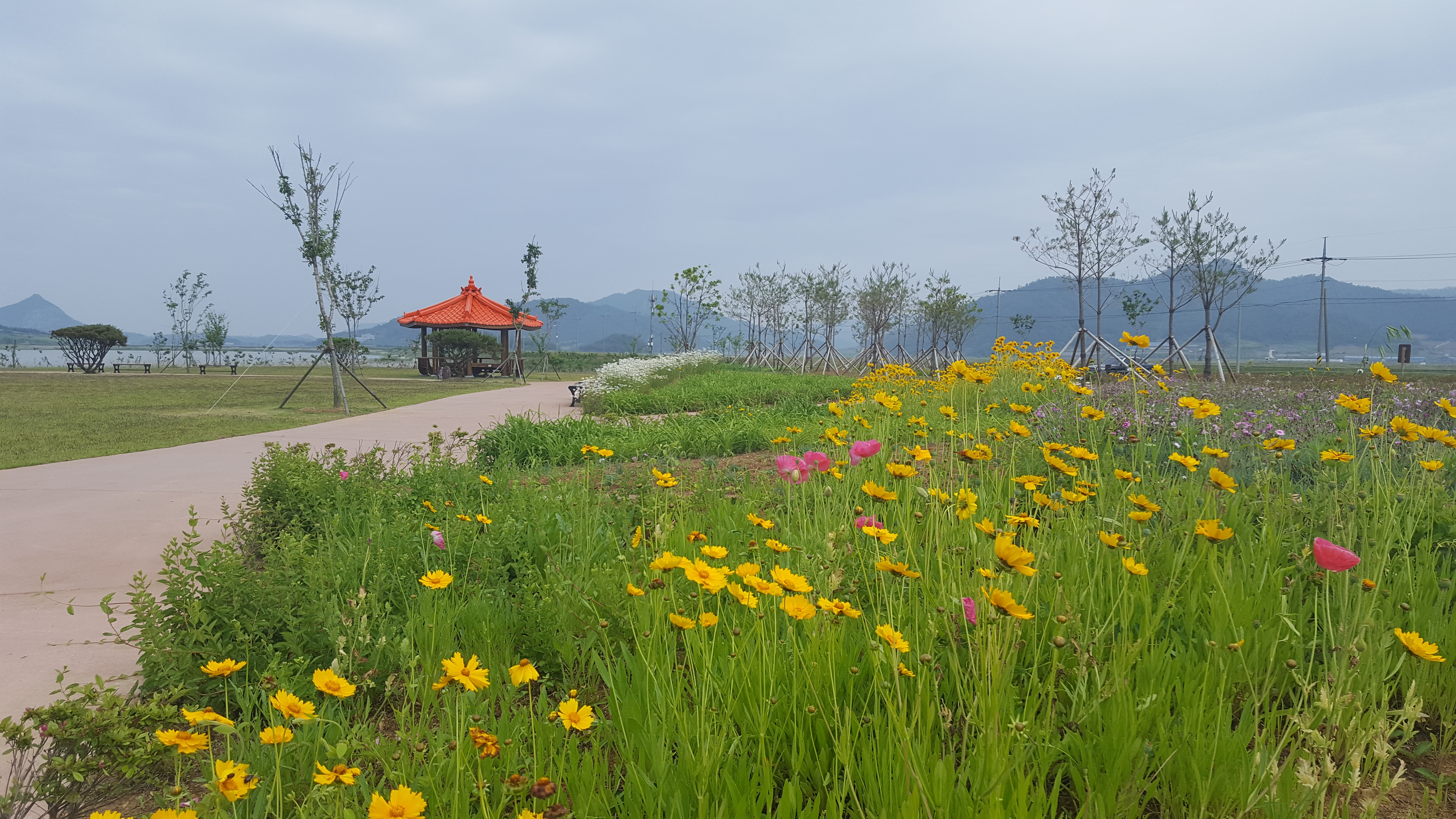 전두 백조도래지 잔디광장 이미지