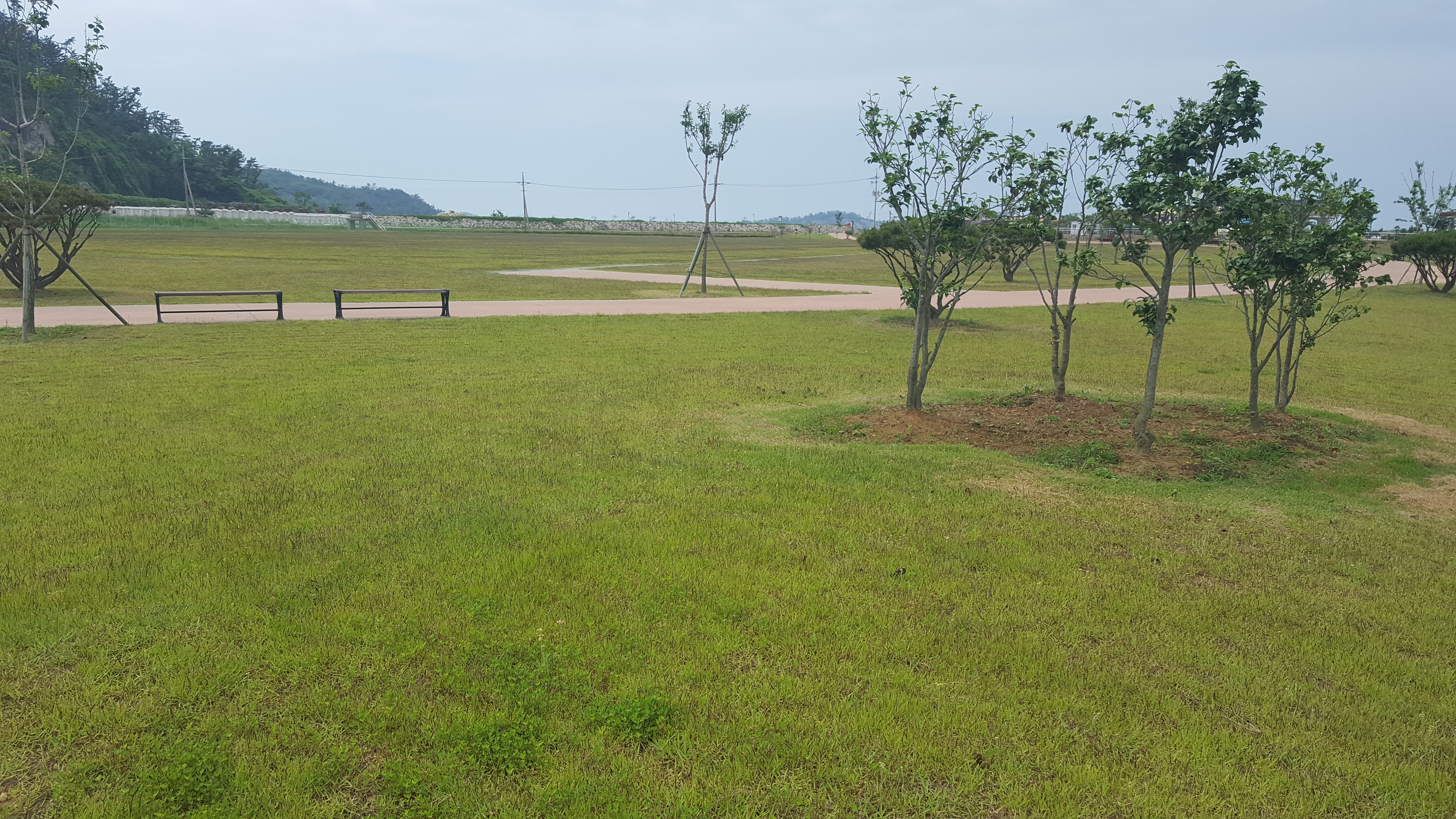 전두 백조도래지잔디광장 2 이미지