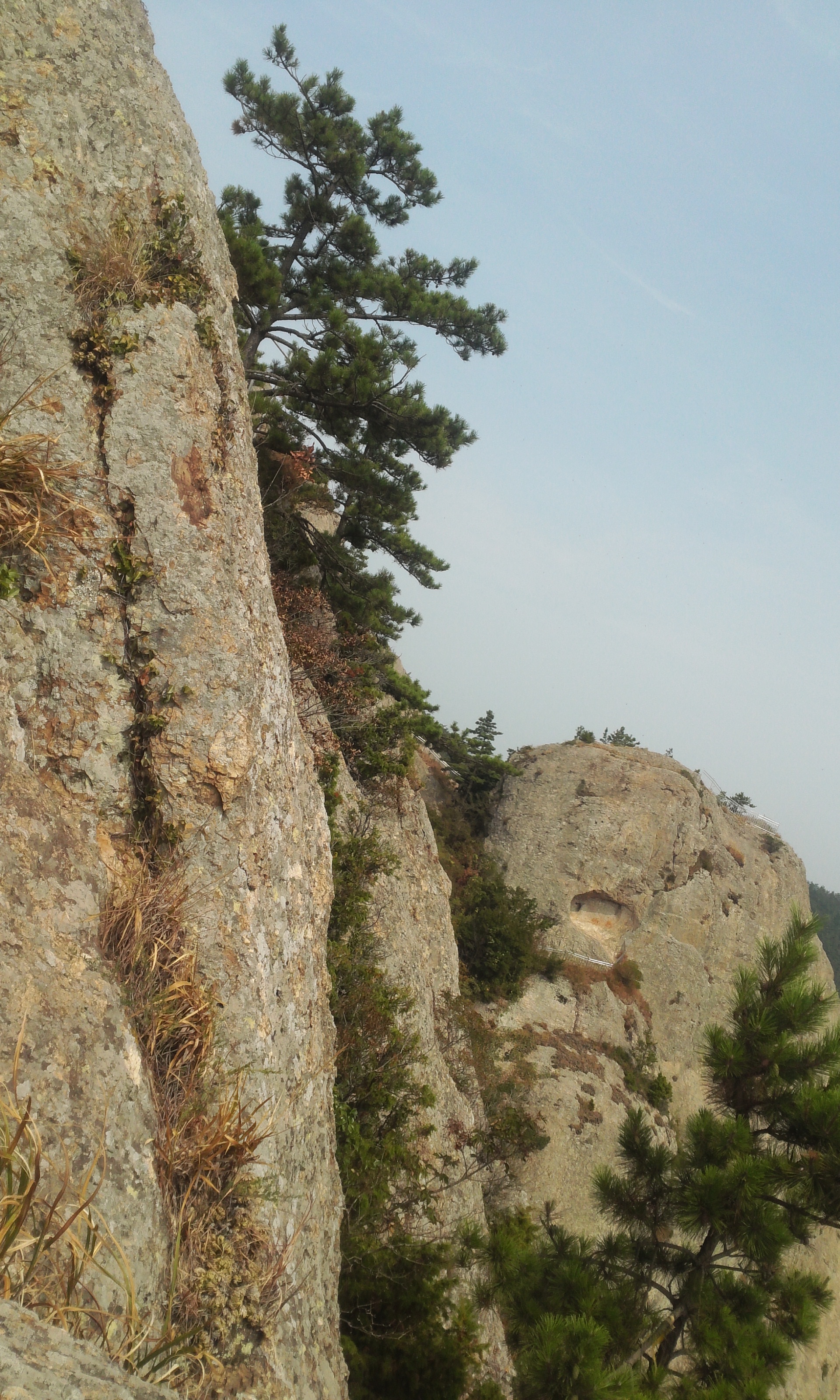 진도의 보물" 동석산" 첨부#3