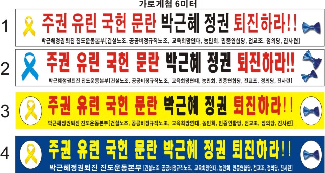 진도군촛불문화제 첨부#2