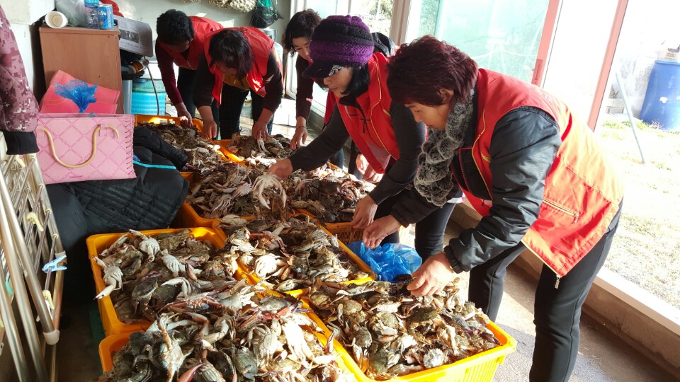 한여련 진도군수협분회 - 불우어업인 사랑의 간장게장 나눔행사 첨부#3