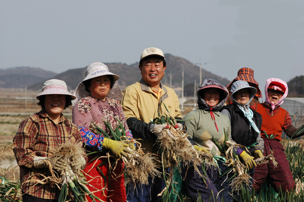 대파 작업 이미지
