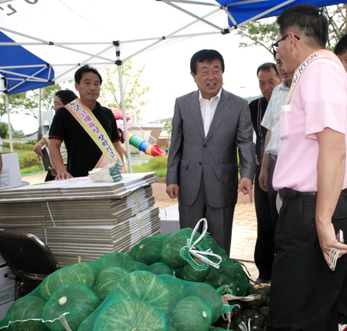 호박 판매 시식회 이미지