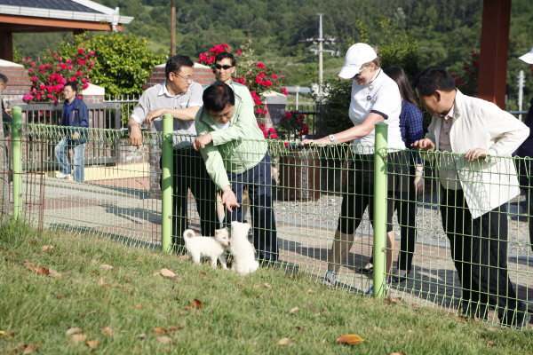 주한 미국 대사 스티븐슨 진도 방문 첨부#5
